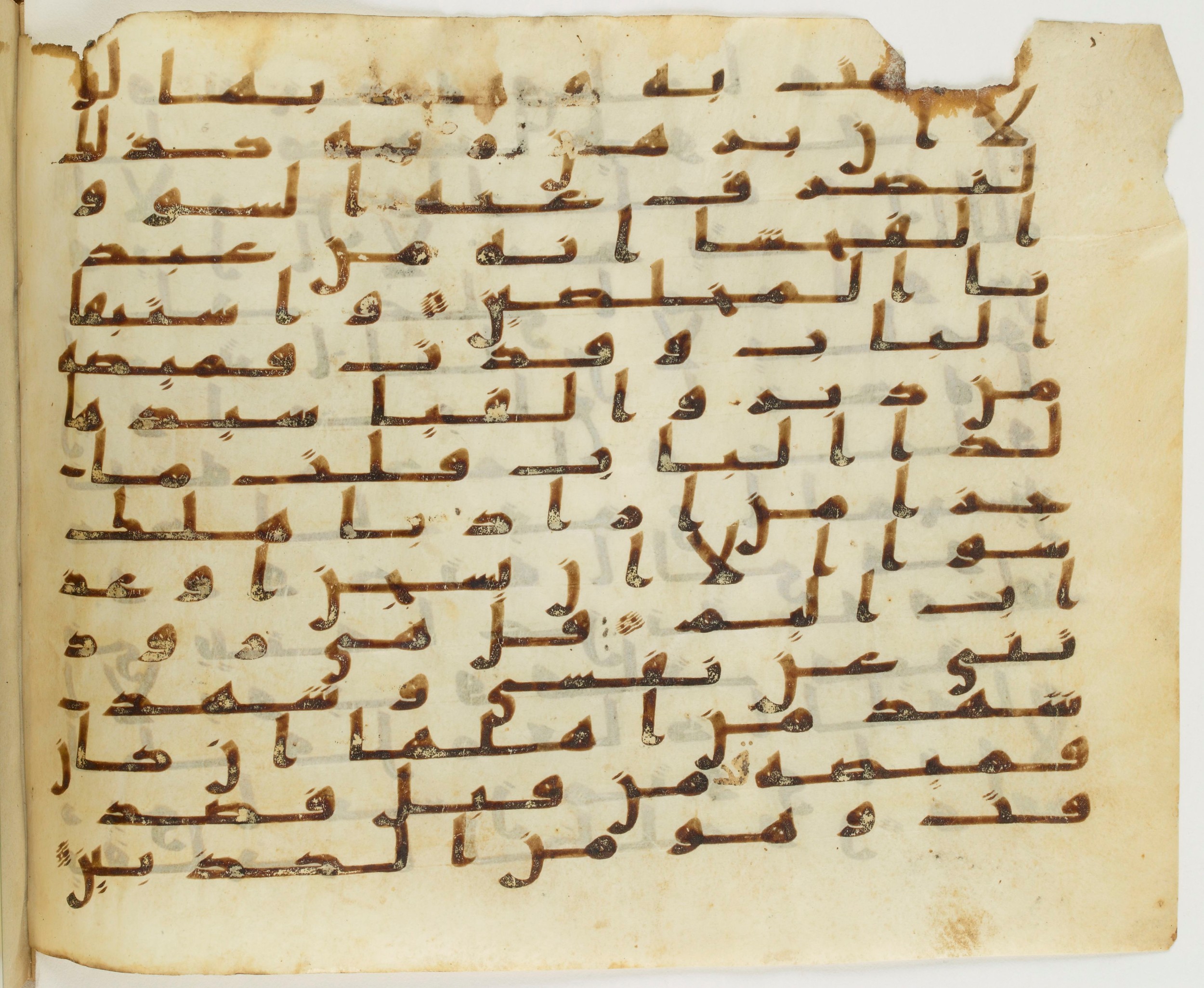 London, The British Library, Or. 2165 (Scan 3), in ḥiǧāzī II script, showing Surah 12:24 from Mid 7th to Mid 8th Century AD found in Fustat (Old Cairo), Egypt, currently housed at The British Library, London