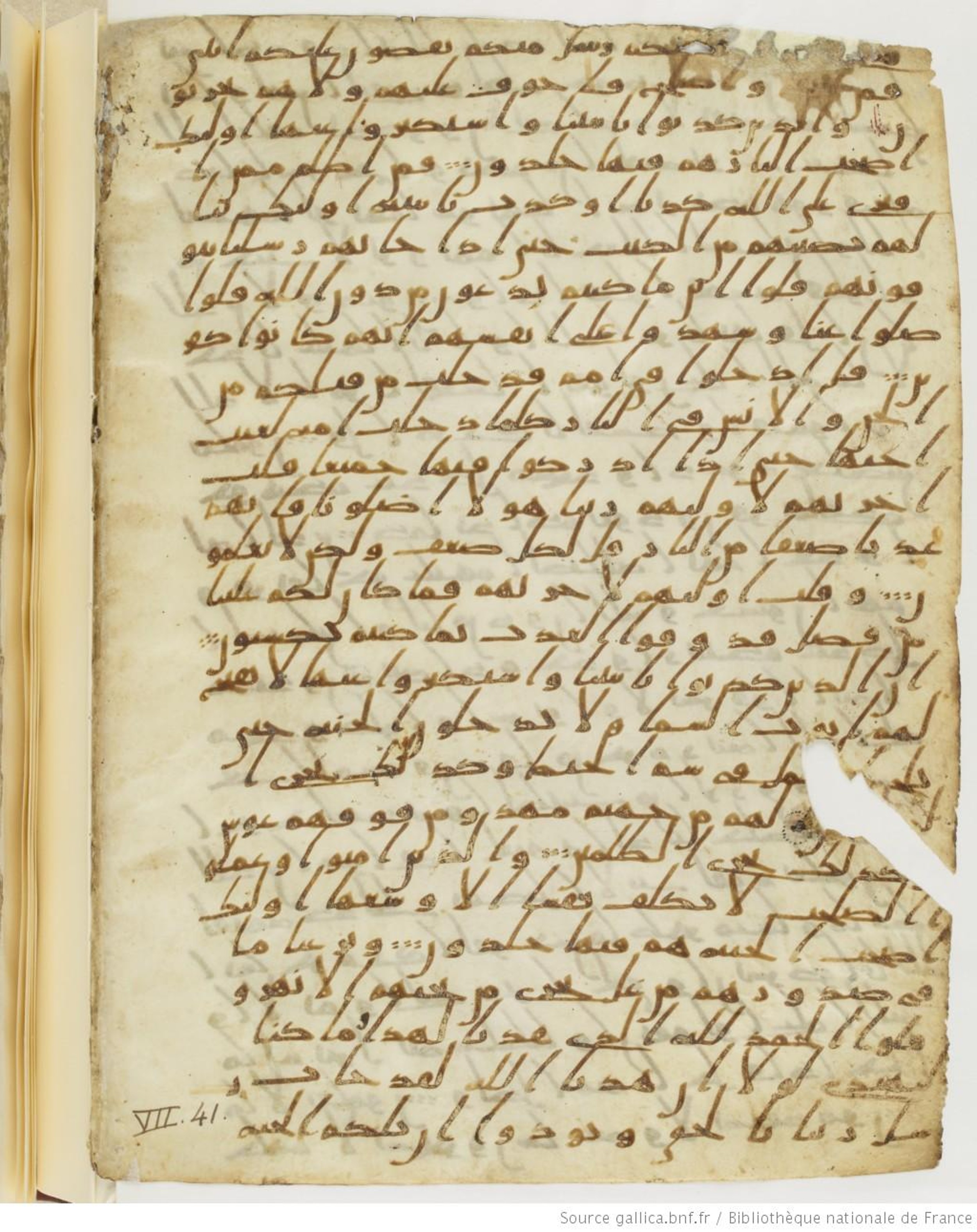 London, The British Library, Or. 2165 (Scan 2), in ḥiǧāzī II script, showing Surah 7:39 from Mid 7th to Mid 8th Century AD found in Fustat (Old Cairo), Egypt, currently housed at The British Library, London