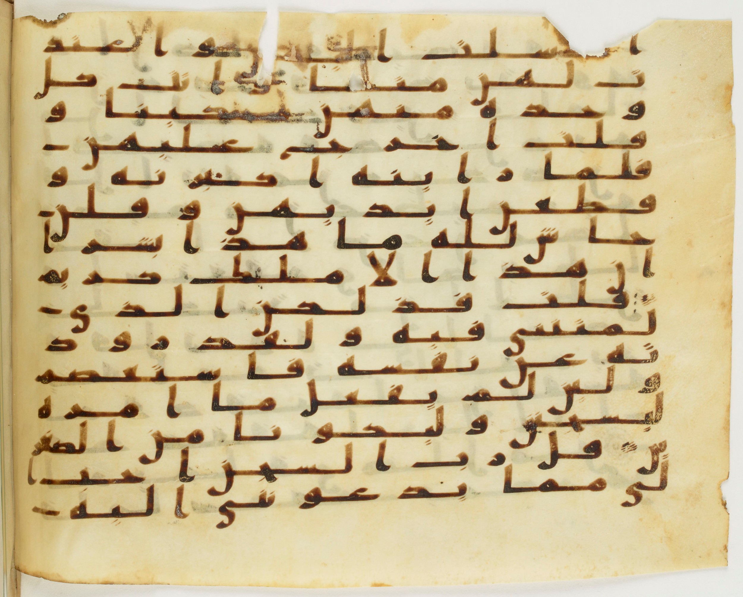London, The British Library, Or. 2165 (Scan 2), in ḥiǧāzī II script, showing Surah 12:32 from Mid 7th to Mid 8th Century AD found in Fustat (Old Cairo), Egypt, currently housed at The British Library, London
