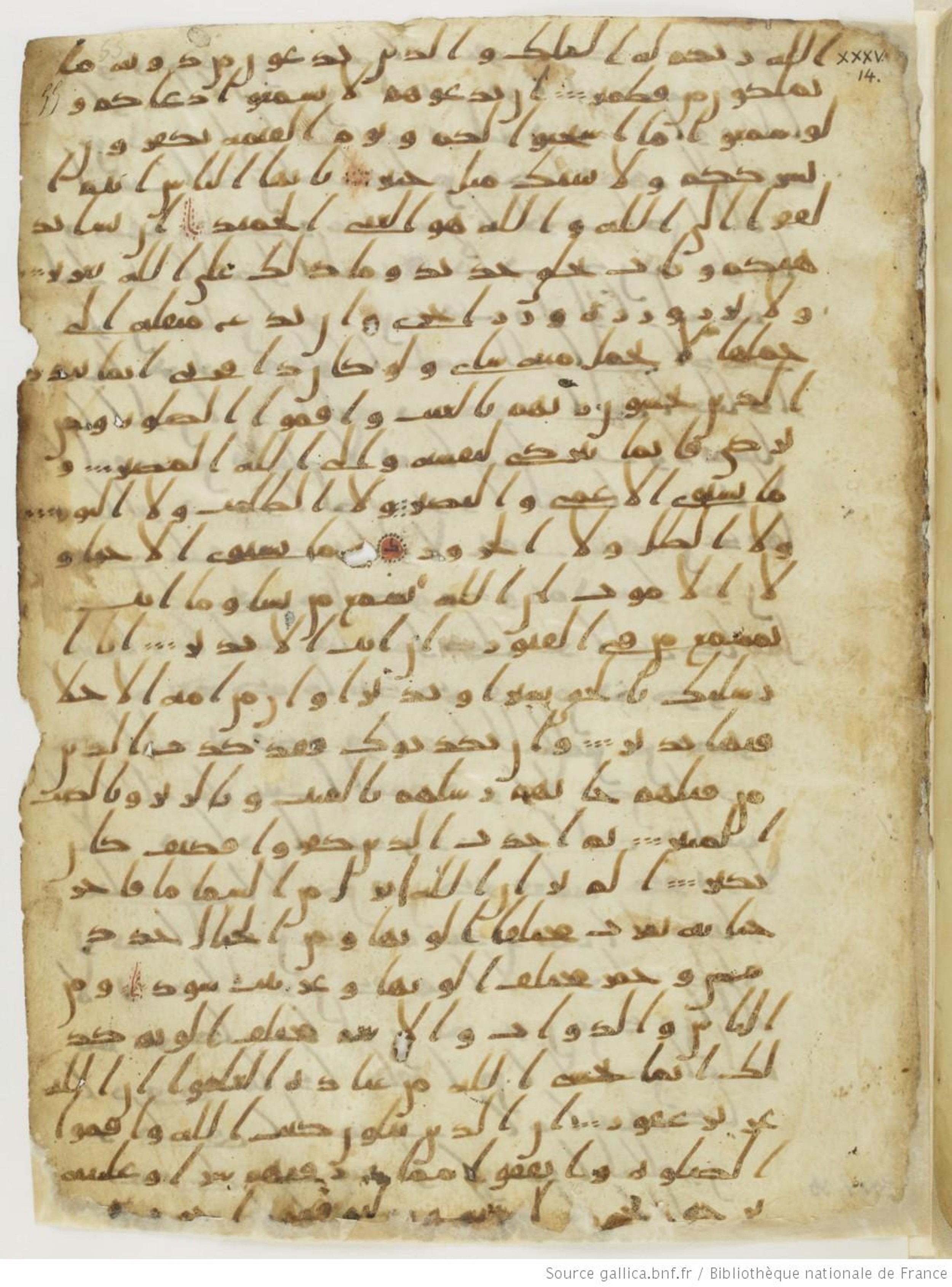 London, The British Library, Or. 2165 (Scan 2), in ḥiǧāzī II script, showing Surah 35:21 from Mid 7th to Mid 8th Century AD found in Fustat (Old Cairo), Egypt, currently housed at The British Library, London