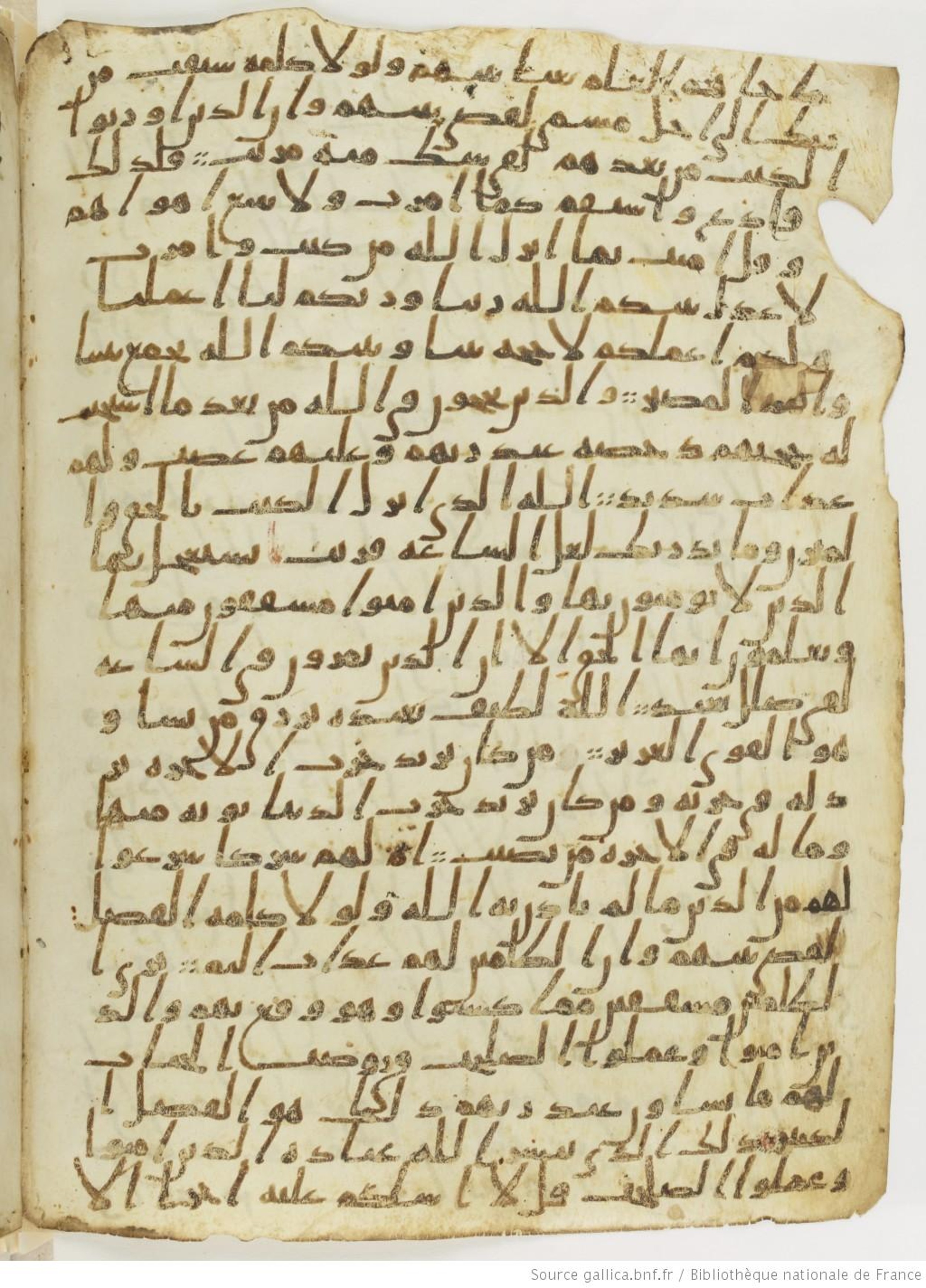 London, The British Library, Or. 2165, in ḥiǧāzī II script, showing Surah 42:16 from Mid 7th to Mid 8th Century AD found in Fustat (Old Cairo), Egypt, currently housed at The British Library, London