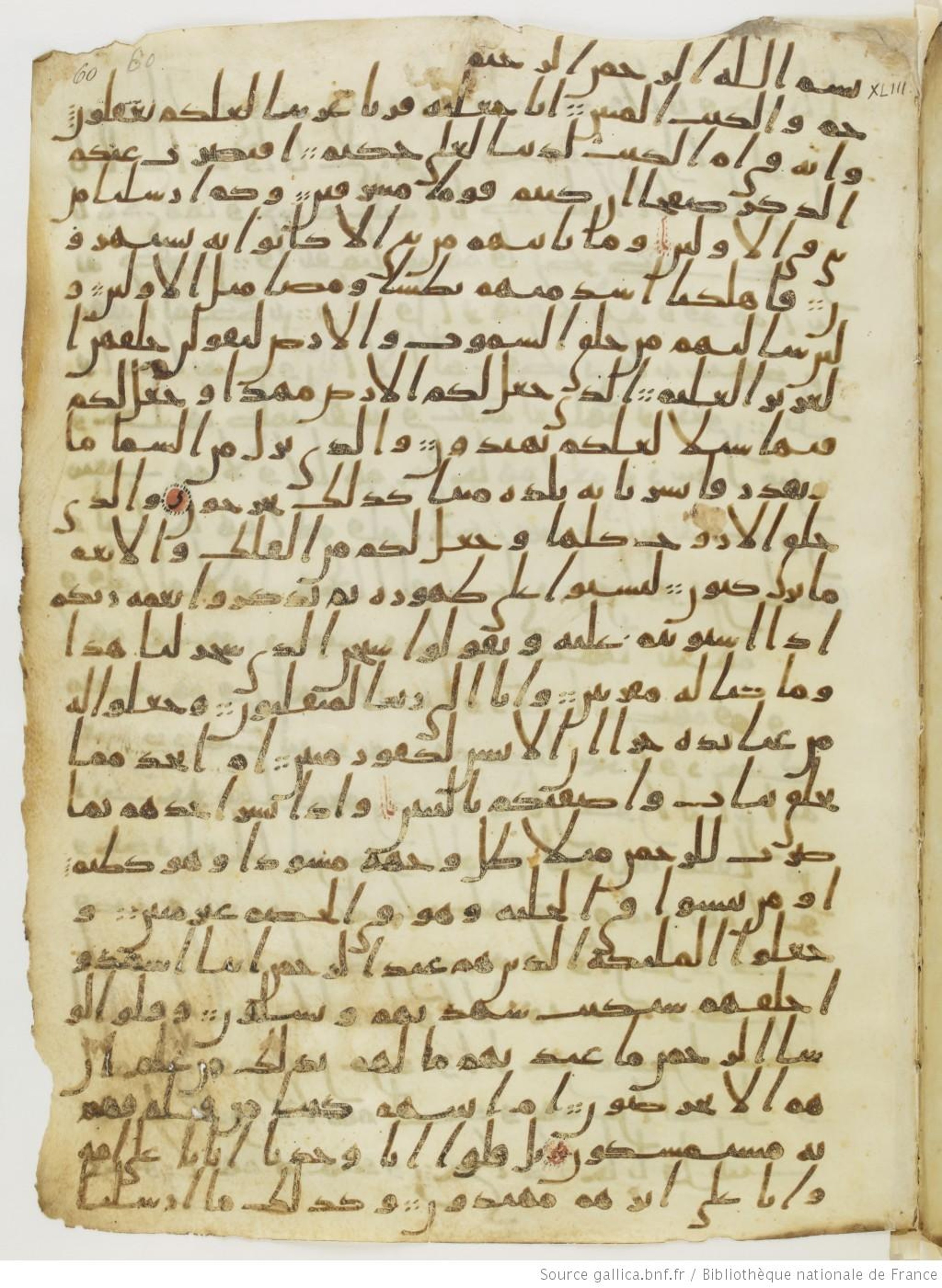 London, The British Library, Or. 2165 (Scan 2), in ḥiǧāzī II script, showing Surah 43:21 from Mid 7th to Mid 8th Century AD found in Fustat (Old Cairo), Egypt, currently housed at The British Library, London