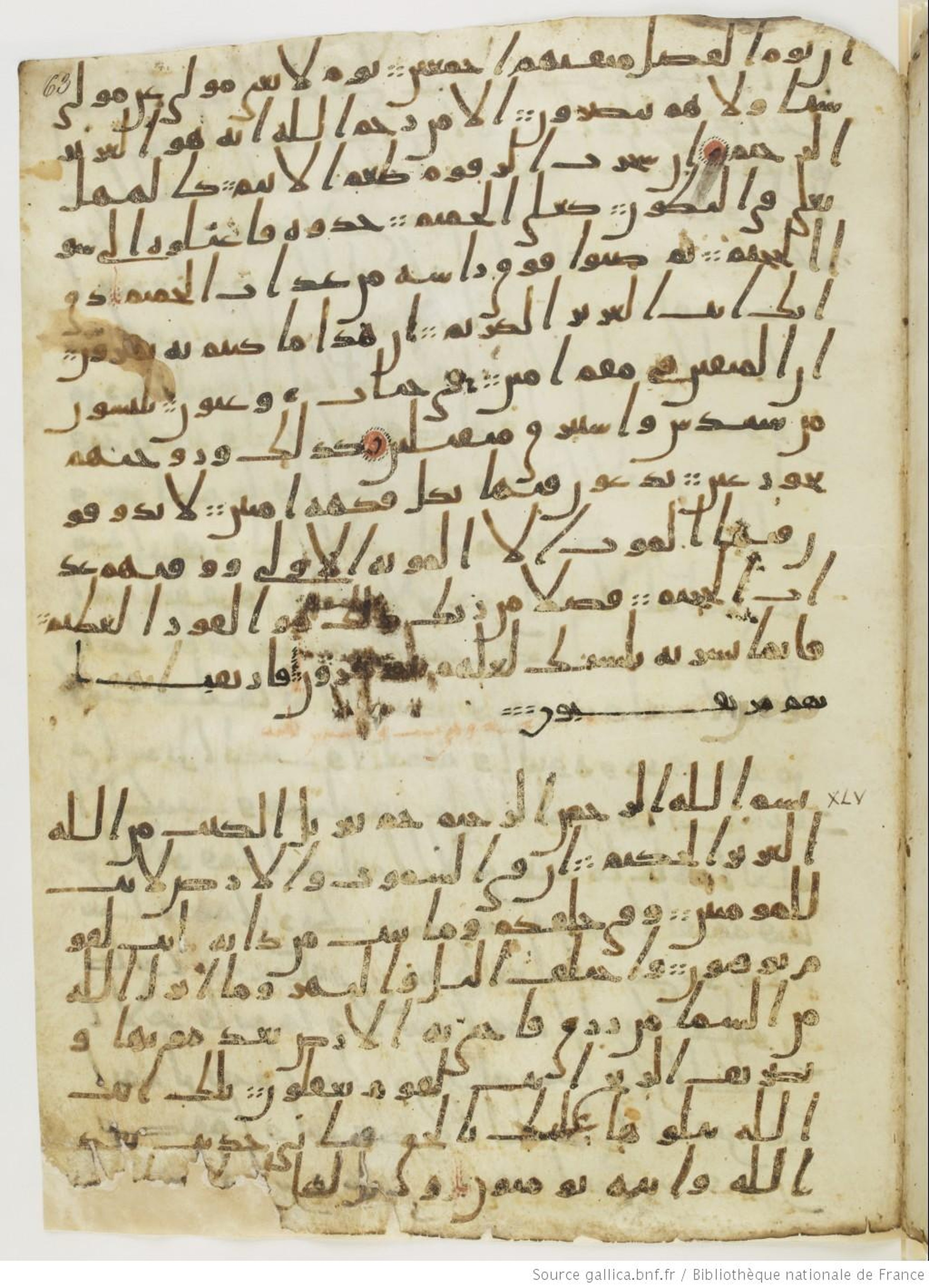 London, The British Library, Or. 2165 (Scan 3), in ḥiǧāzī II script, showing Surah 44:49 from Mid 7th to Mid 8th Century AD found in Fustat (Old Cairo), Egypt, currently housed at The British Library, London