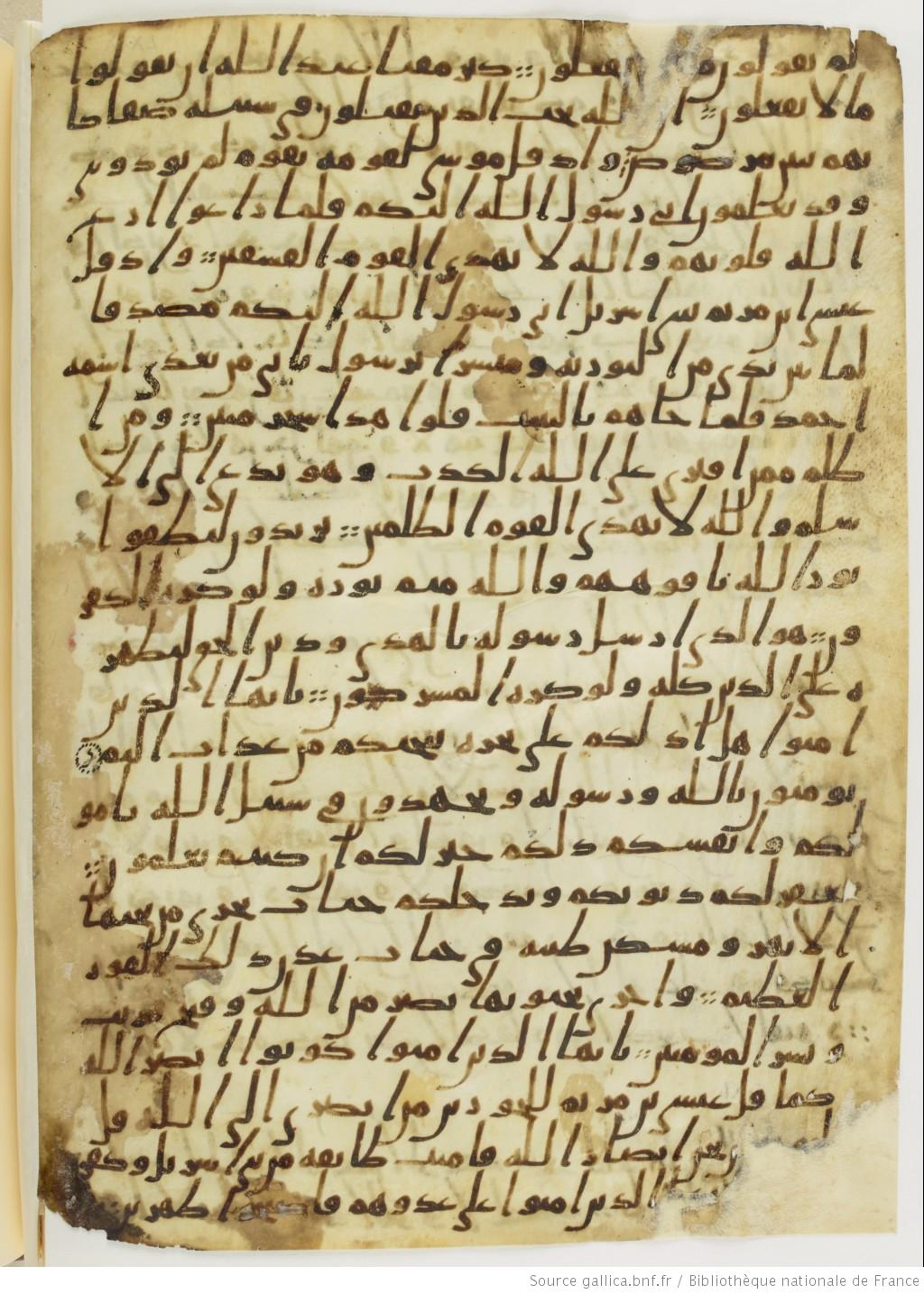 London, The British Library, Or. 2165, in ḥiǧāzī II script, showing Surah 61:13 from Mid 7th to Mid 8th Century AD found in Fustat (Old Cairo), Egypt, currently housed at The British Library, London