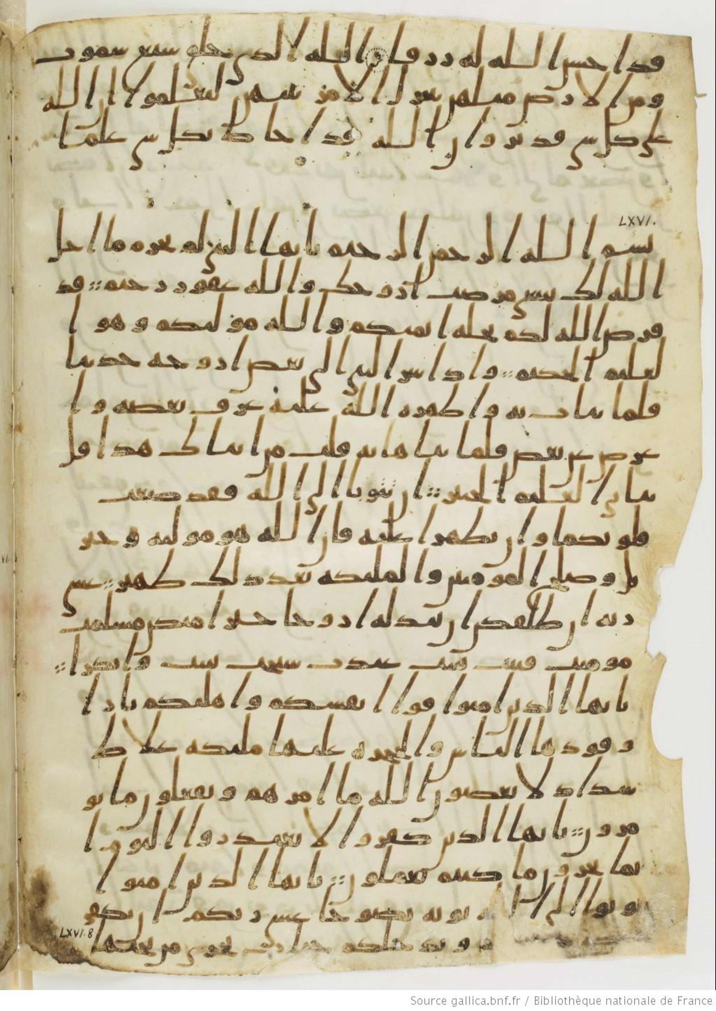 London, The British Library, Or. 2165, in ḥiǧāzī II script, showing Surah 66:7 from Mid 7th to Mid 8th Century AD found in Fustat (Old Cairo), Egypt, currently housed at The British Library, London