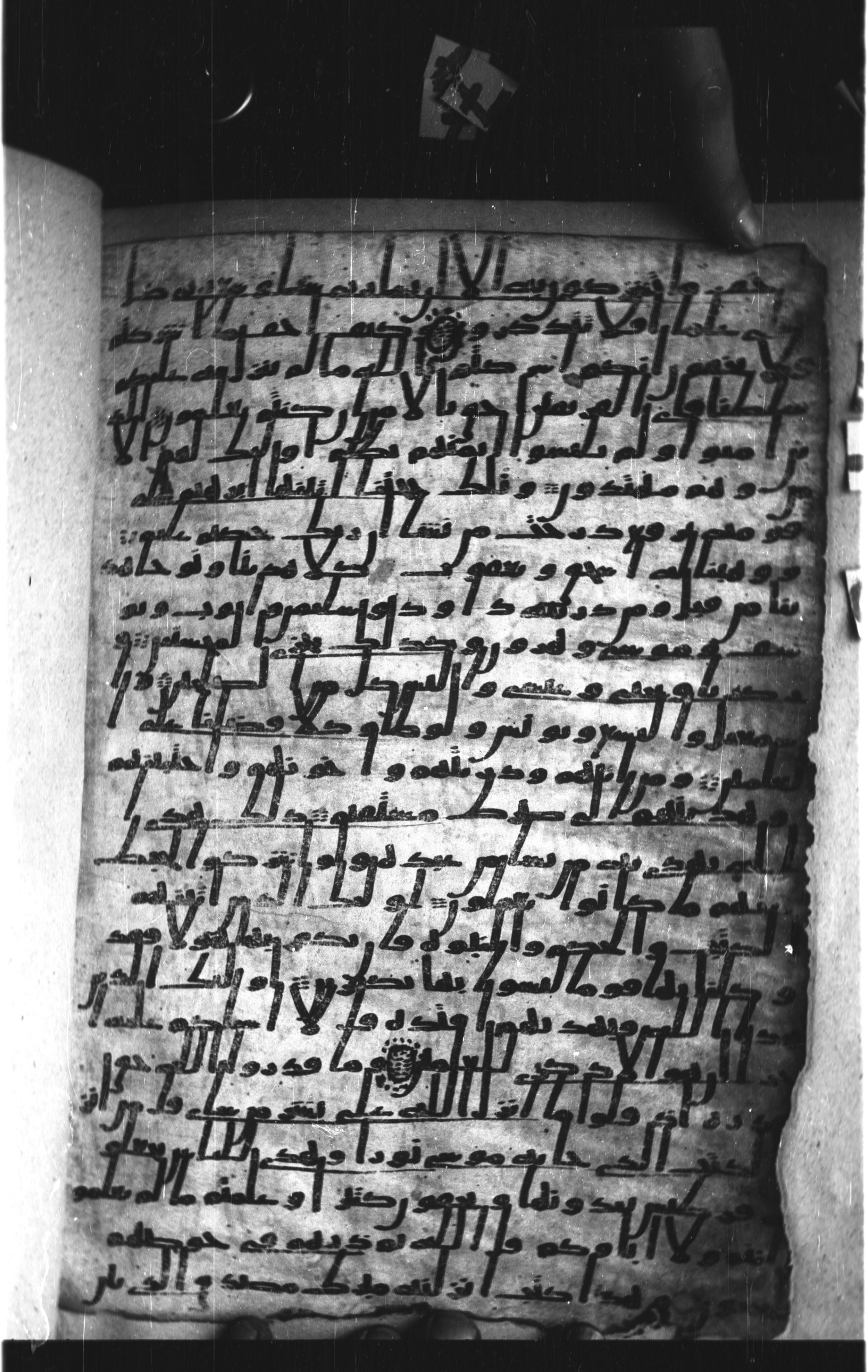 London, The British Library, Or. 2165 (Scan 3), in ḥiǧāzī II script, showing Surah 6:83 from Mid 7th to Mid 8th Century AD found in Fustat (Old Cairo), Egypt, currently housed at The British Library, London
