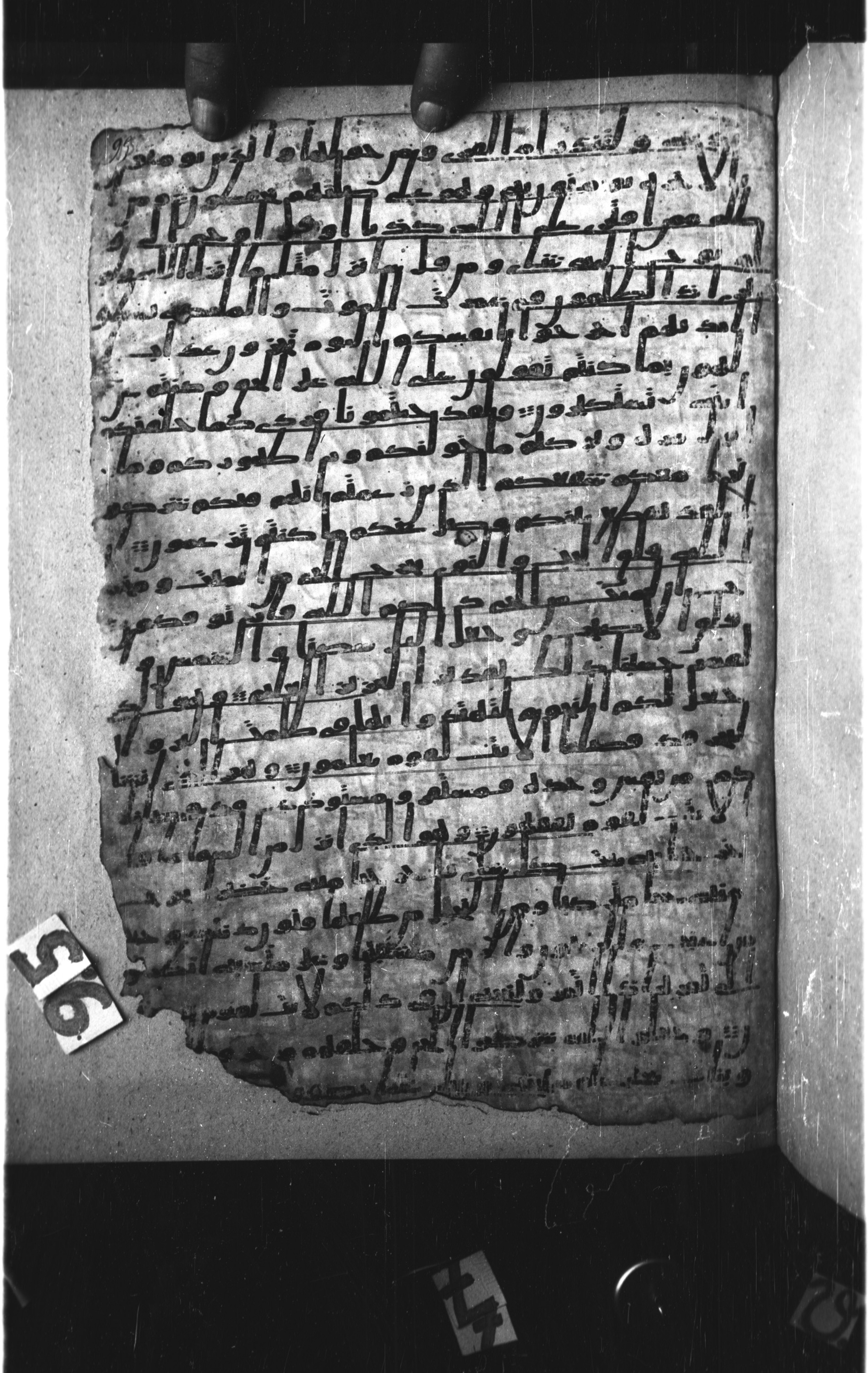 London, The British Library, Or. 2165 (Scan 3), in ḥiǧāzī II script, showing Surah 6:95 from Mid 7th to Mid 8th Century AD found in Fustat (Old Cairo), Egypt, currently housed at The British Library, London