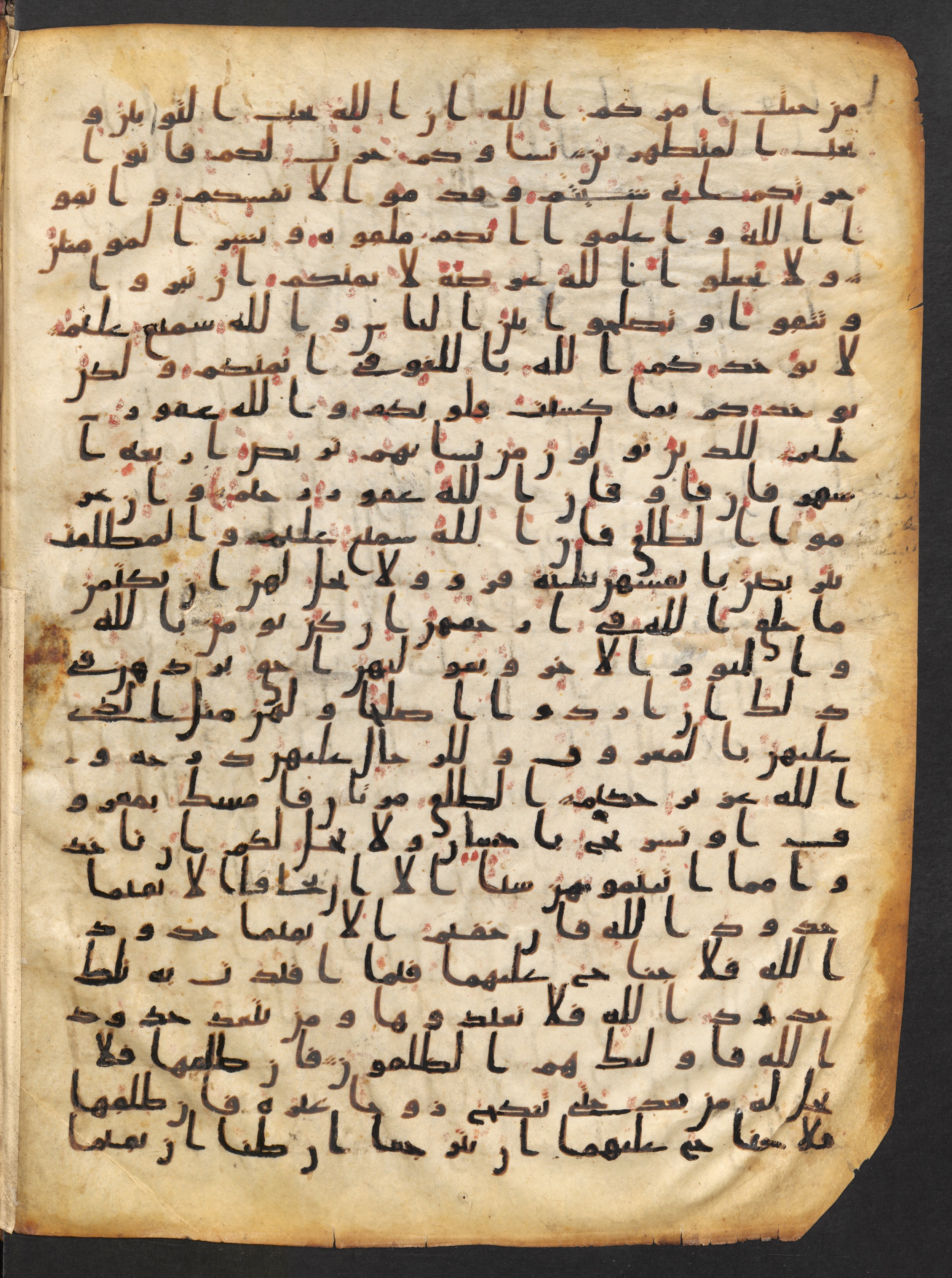 Staatsbibliothek zu Berlin, Ms. or. fol. 4313 (Scan 1), in Ḥiǧāzī (close to type II) script, showing Surah 2:229 from Mid to Late 7th Century AD found in Fustat (Old Cairo), Egypt, currently housed at Staatsbibliothek zu Berlin, Berlin