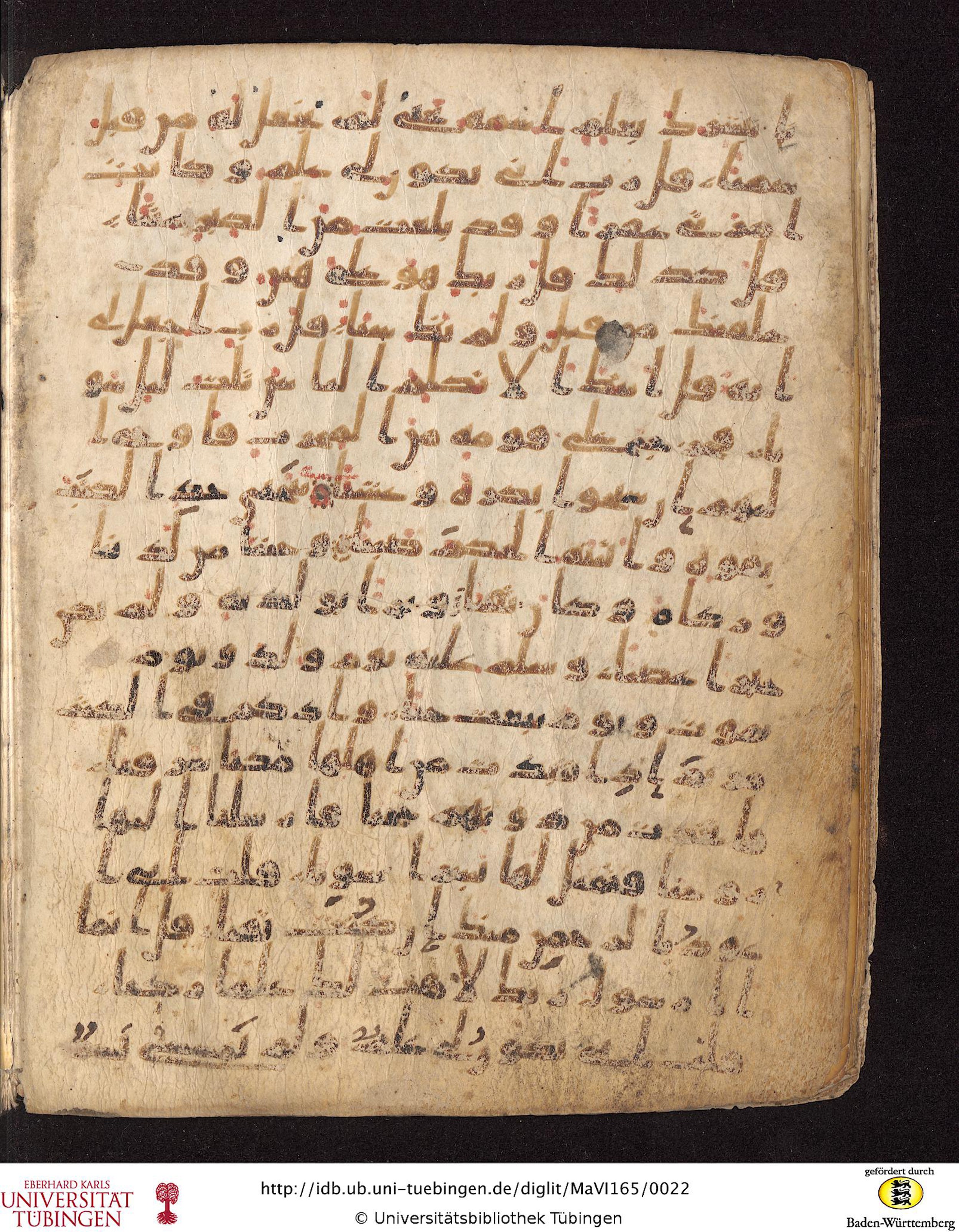 Staatsbibliothek zu Berlin, Ms. or. fol. 4313 (Scan 3), in Ḥiǧāzī (close to type II) script, showing Surah 19:13 from Mid to Late 7th Century AD found in Fustat (Old Cairo), Egypt, currently housed at Staatsbibliothek zu Berlin, Berlin