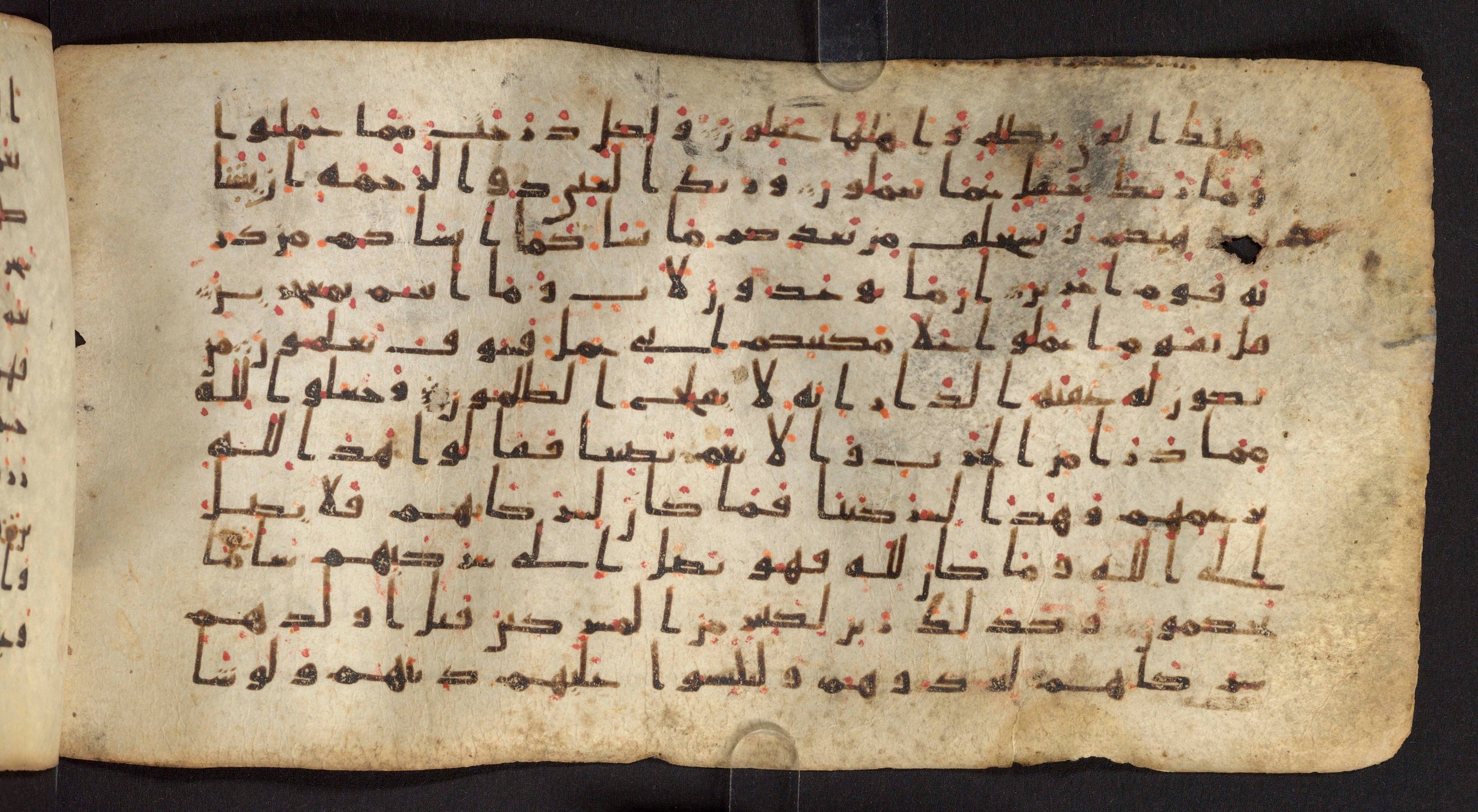 Staatsbibliothek zu Berlin, Ms. or. fol. 4313 (Scan 1), in Ḥiǧāzī (close to type II) script, showing Surah 6:136 from Mid to Late 7th Century AD found in Fustat (Old Cairo), Egypt, currently housed at Staatsbibliothek zu Berlin, Berlin