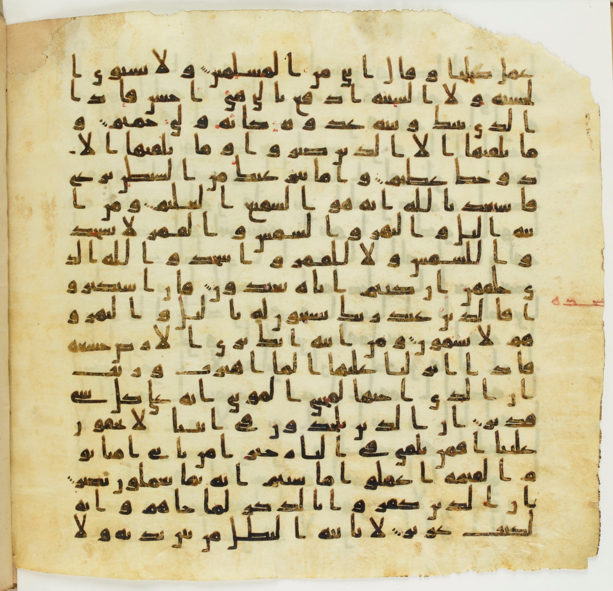 Staatsbibliothek zu Berlin, Ms. or. fol. 4313 (Scan 2), in Ḥiǧāzī (close to type II) script, showing Surah 41:39 from Mid to Late 7th Century AD found in Fustat (Old Cairo), Egypt, currently housed at Staatsbibliothek zu Berlin, Berlin