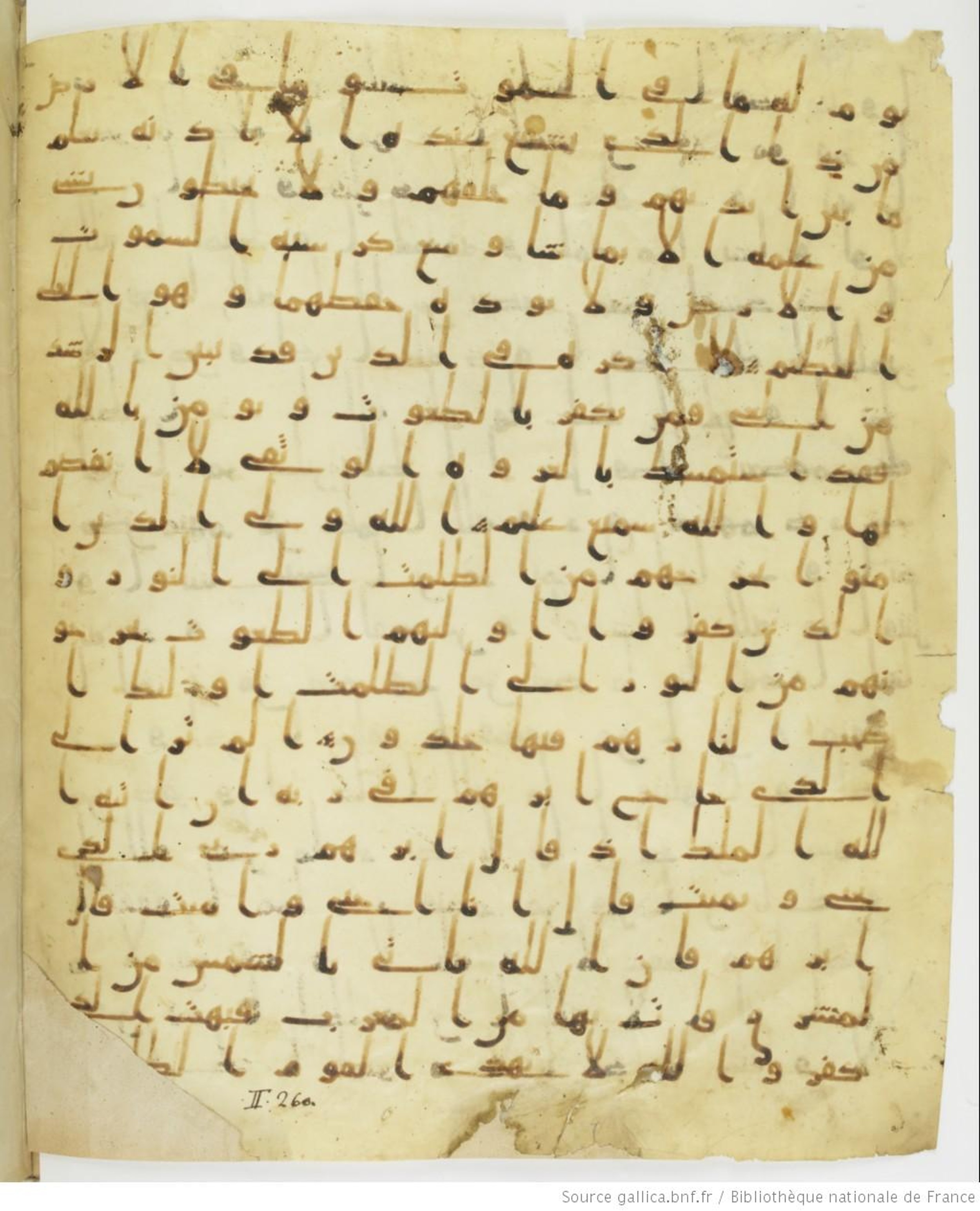 Staatsbibliothek zu Berlin, Ms. or. fol. 4313 (Scan 3), in Ḥiǧāzī (close to type II) script, showing Surah 2:255 from Mid to Late 7th Century AD found in Fustat (Old Cairo), Egypt, currently housed at Staatsbibliothek zu Berlin, Berlin