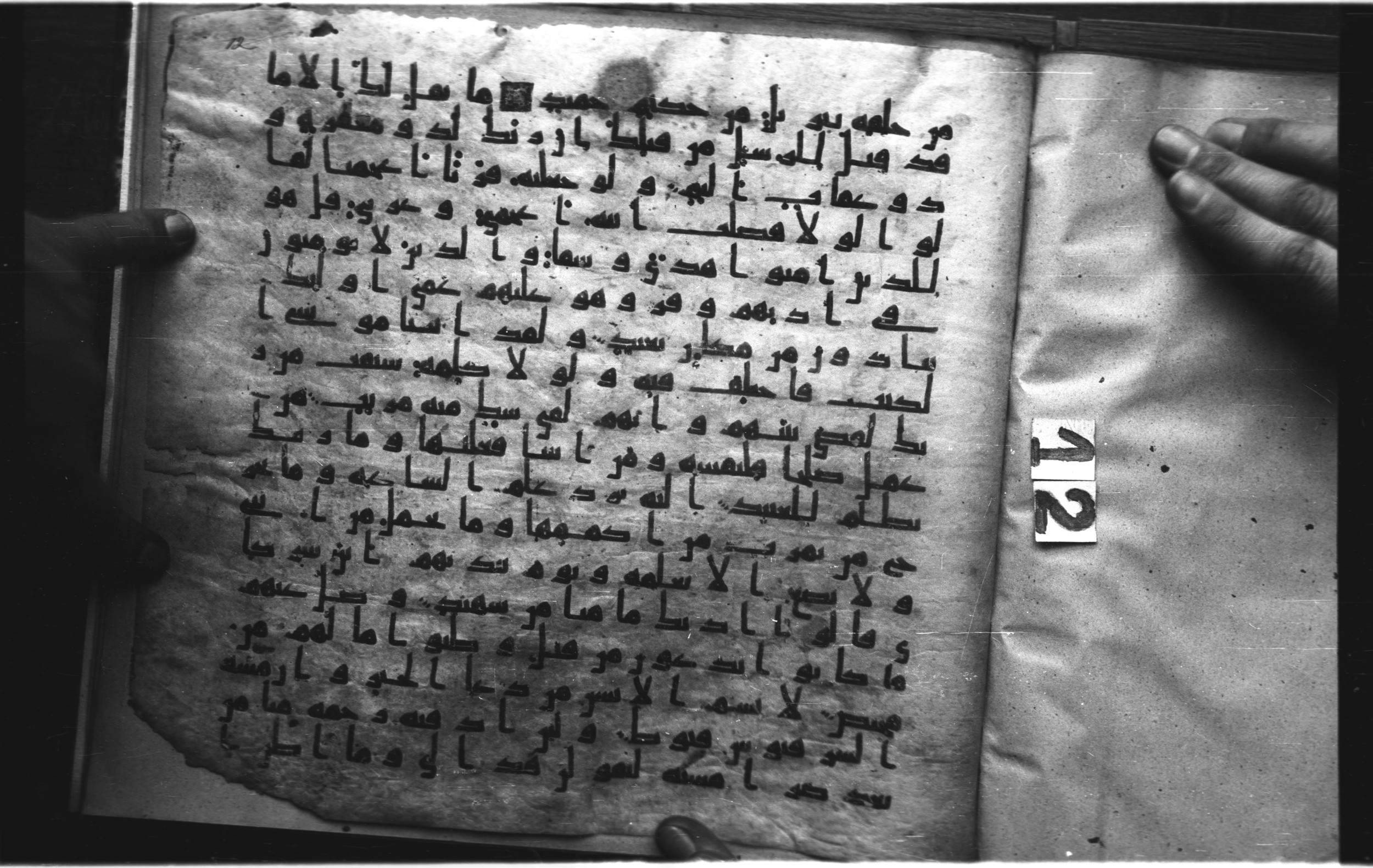 Staatsbibliothek zu Berlin, Ms. or. fol. 4313 (Scan 1), in Ḥiǧāzī (close to type II) script, showing Surah 41:49 from Mid to Late 7th Century AD found in Fustat (Old Cairo), Egypt, currently housed at Staatsbibliothek zu Berlin, Berlin