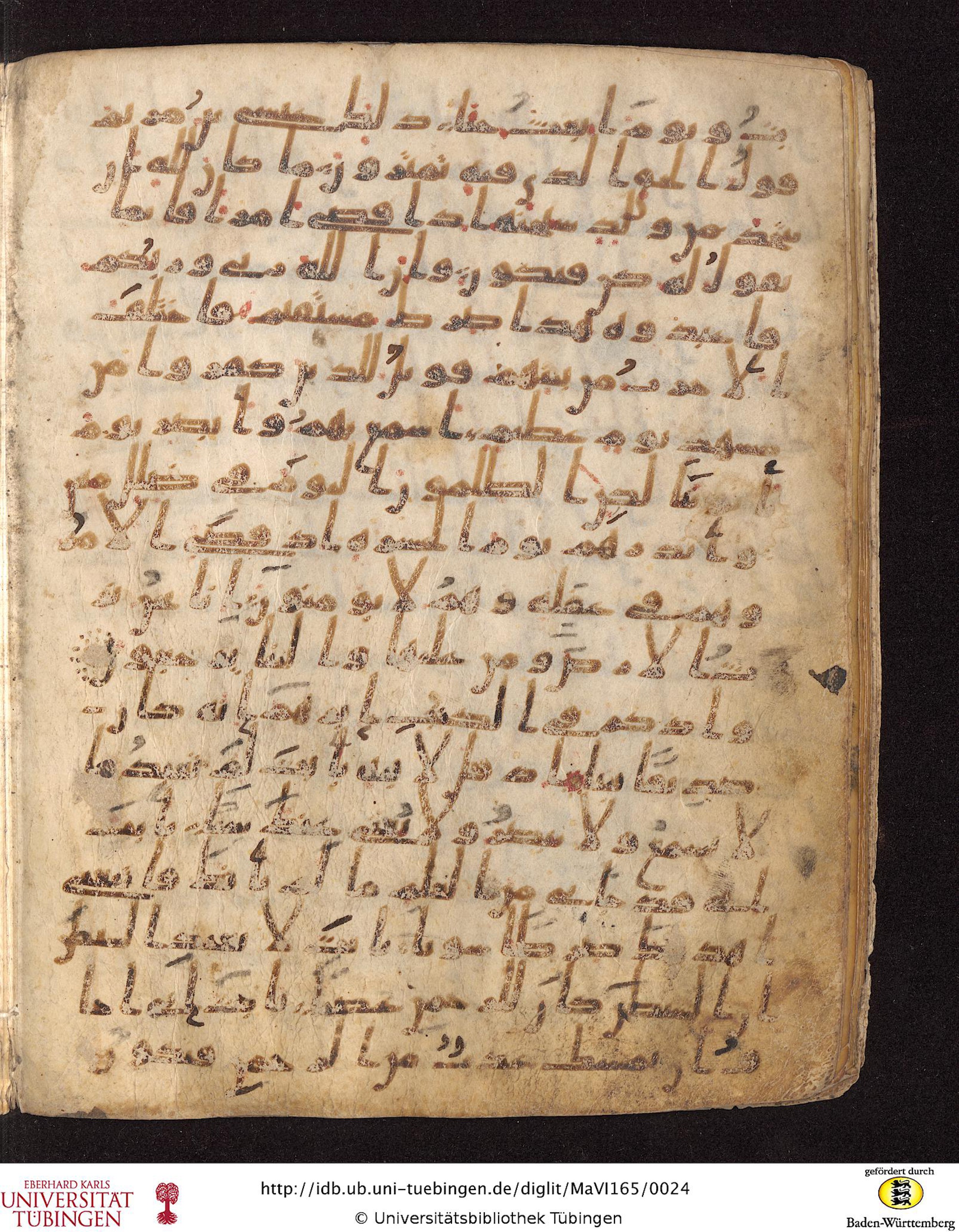 Staatsbibliothek zu Berlin, Ms. or. fol. 4313 (Scan 4), in Ḥiǧāzī (close to type II) script, showing Surah 19:39 from Mid to Late 7th Century AD found in Fustat (Old Cairo), Egypt, currently housed at Staatsbibliothek zu Berlin, Berlin