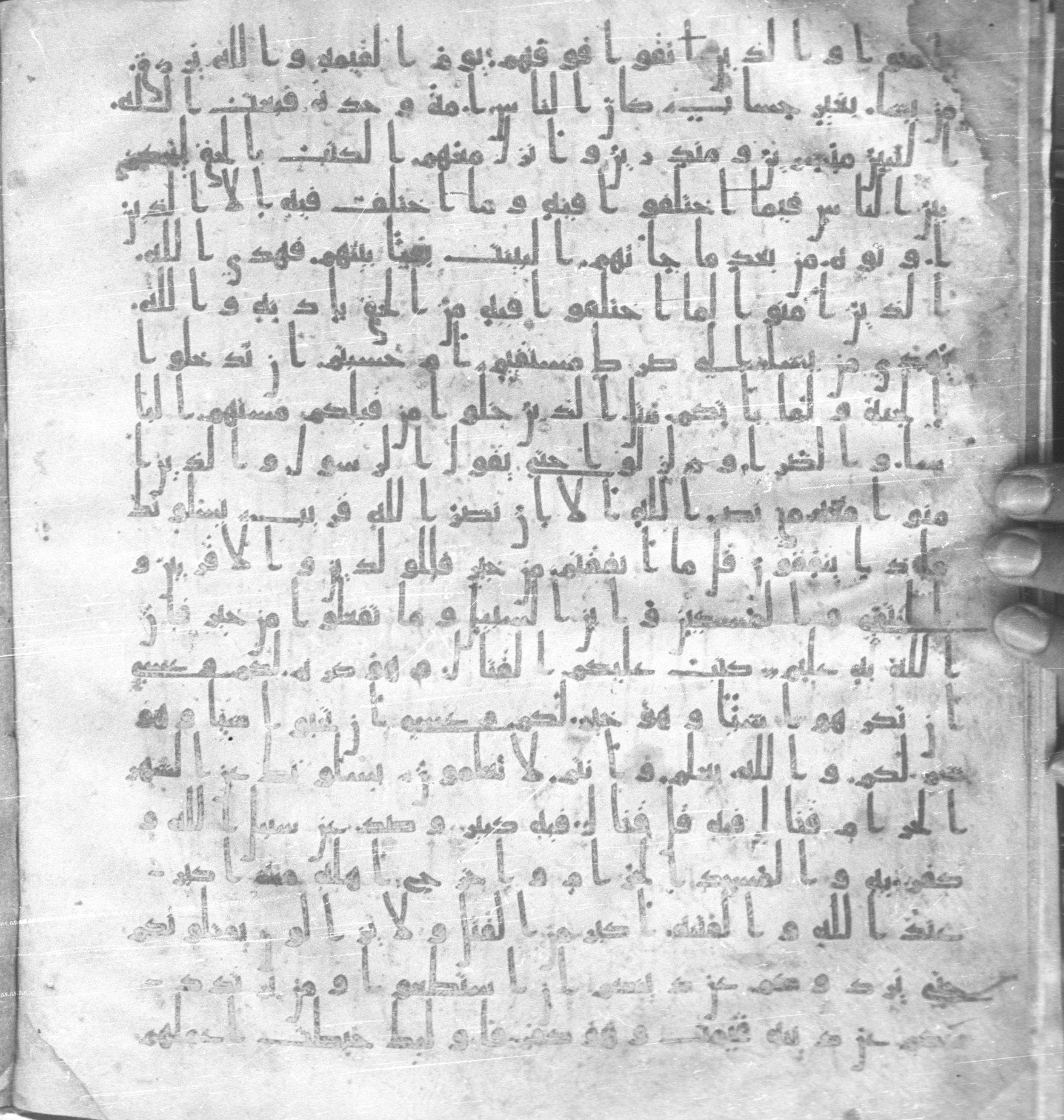 Staatsbibliothek zu Berlin, Ms. or. fol. 4313 (Scan 2), in Ḥiǧāzī (close to type II) script, showing Surah 2:217 from Mid to Late 7th Century AD found in Fustat (Old Cairo), Egypt, currently housed at Staatsbibliothek zu Berlin, Berlin