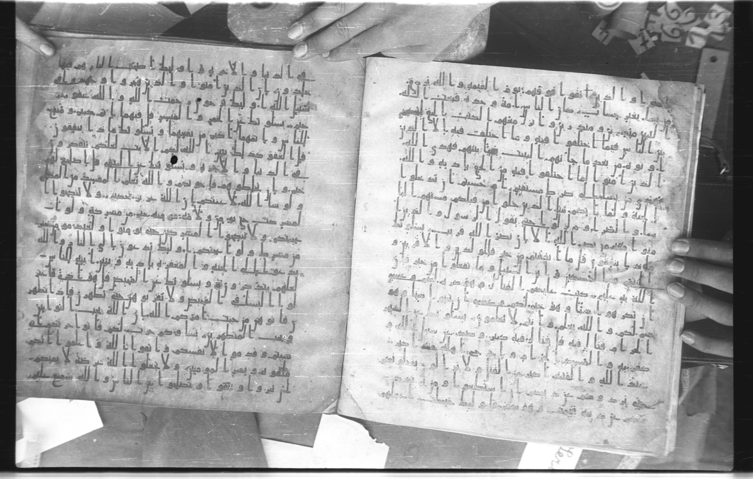 Staatsbibliothek zu Berlin, Ms. or. fol. 4313 (Scan 3), in Ḥiǧāzī (close to type II) script, showing Surah 2:217 from Mid to Late 7th Century AD found in Fustat (Old Cairo), Egypt, currently housed at Staatsbibliothek zu Berlin, Berlin