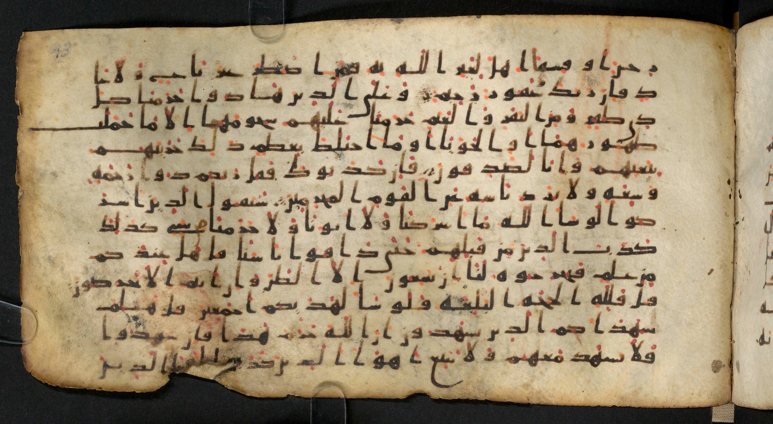 Staatsbibliothek zu Berlin, Ms. or. fol. 4313 (Scan 1), in Ḥiǧāzī (close to type II) script, showing Surah 6:147 from Mid to Late 7th Century AD found in Fustat (Old Cairo), Egypt, currently housed at Staatsbibliothek zu Berlin, Berlin