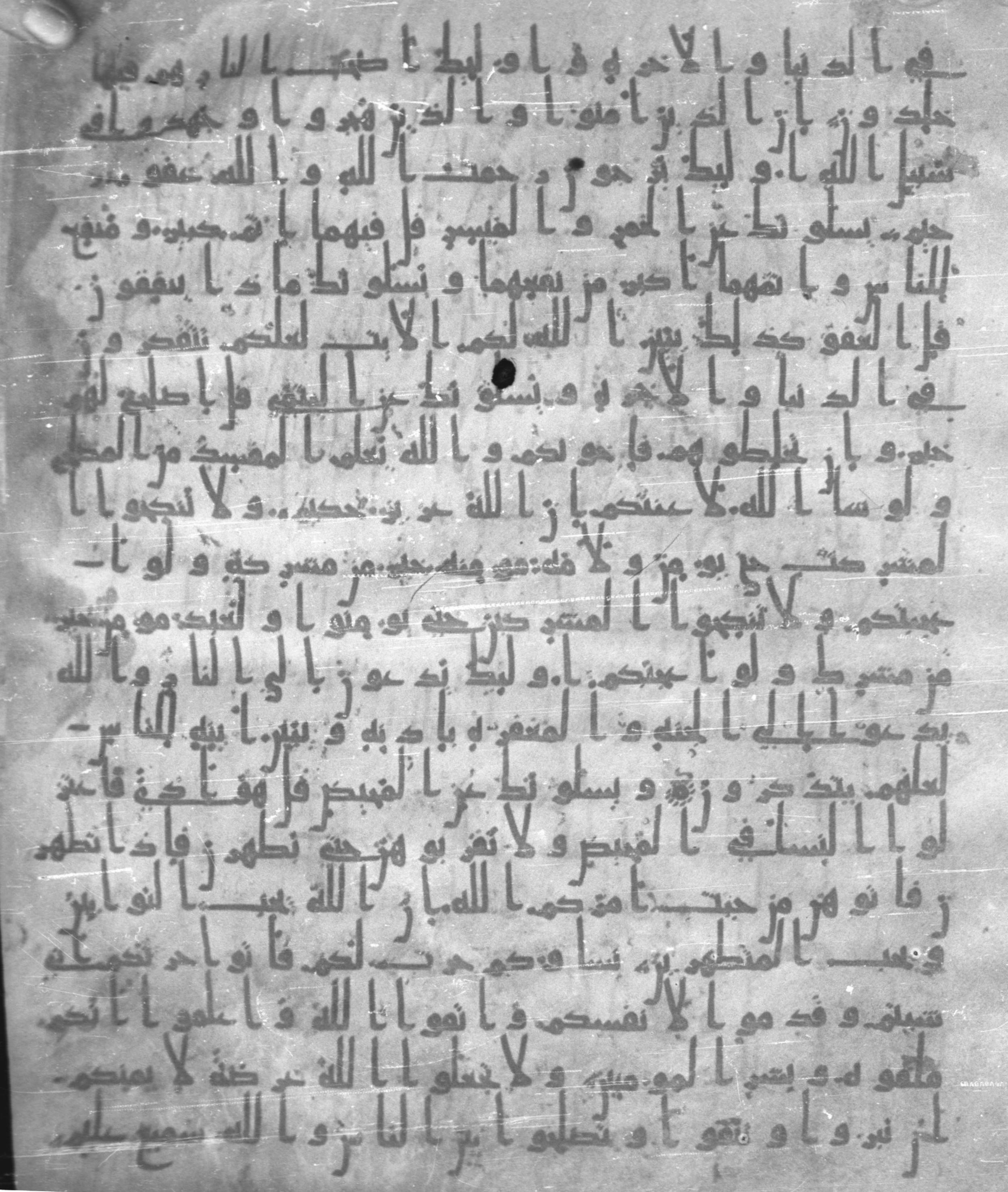 Staatsbibliothek zu Berlin, Ms. or. fol. 4313 (Scan 4), in Ḥiǧāzī (close to type II) script, showing Surah 2:217 from Mid to Late 7th Century AD found in Fustat (Old Cairo), Egypt, currently housed at Staatsbibliothek zu Berlin, Berlin