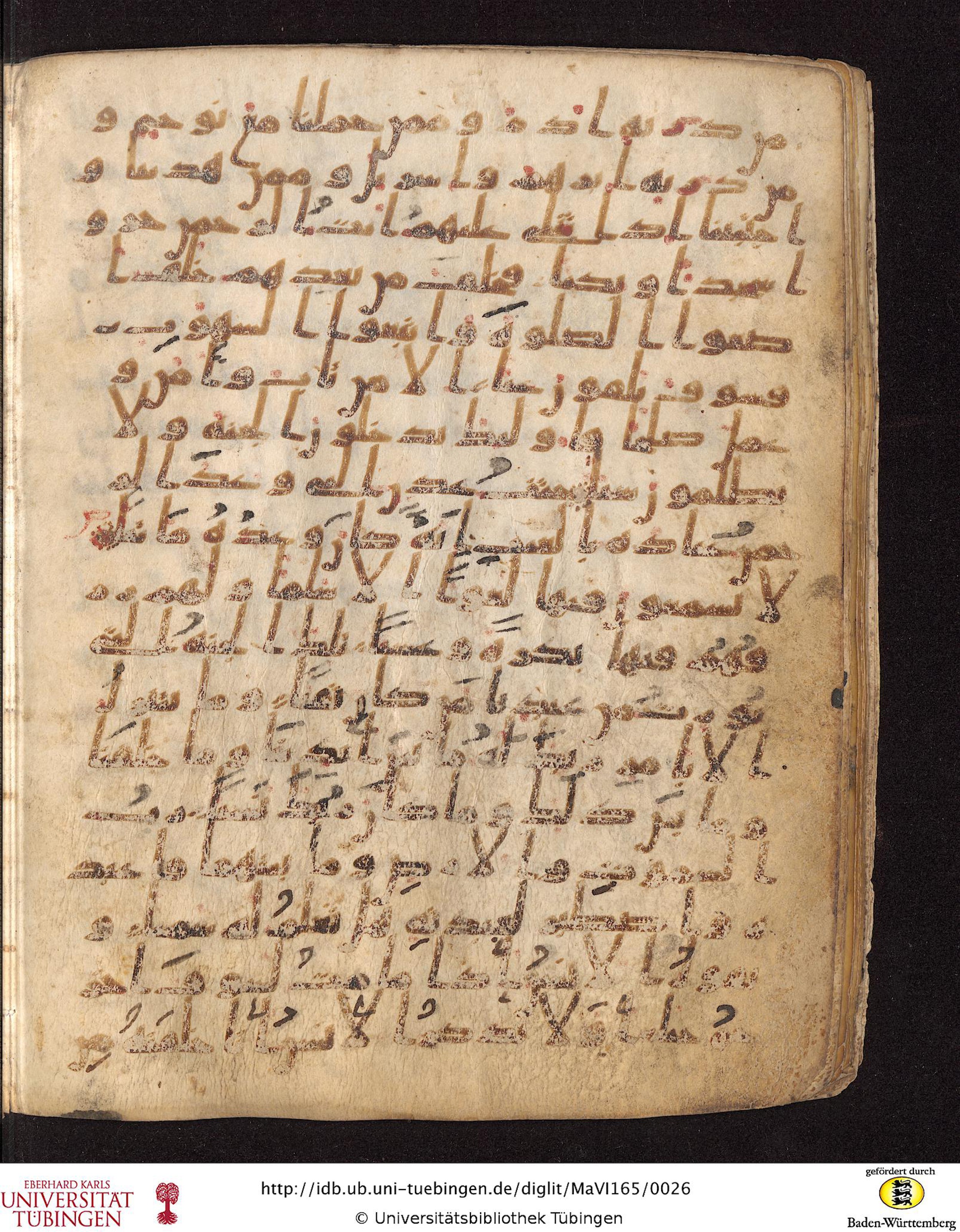 Staatsbibliothek zu Berlin, Ms. or. fol. 4313 (Scan 4), in Ḥiǧāzī (close to type II) script, showing Surah 19:63 from Mid to Late 7th Century AD found in Fustat (Old Cairo), Egypt, currently housed at Staatsbibliothek zu Berlin, Berlin