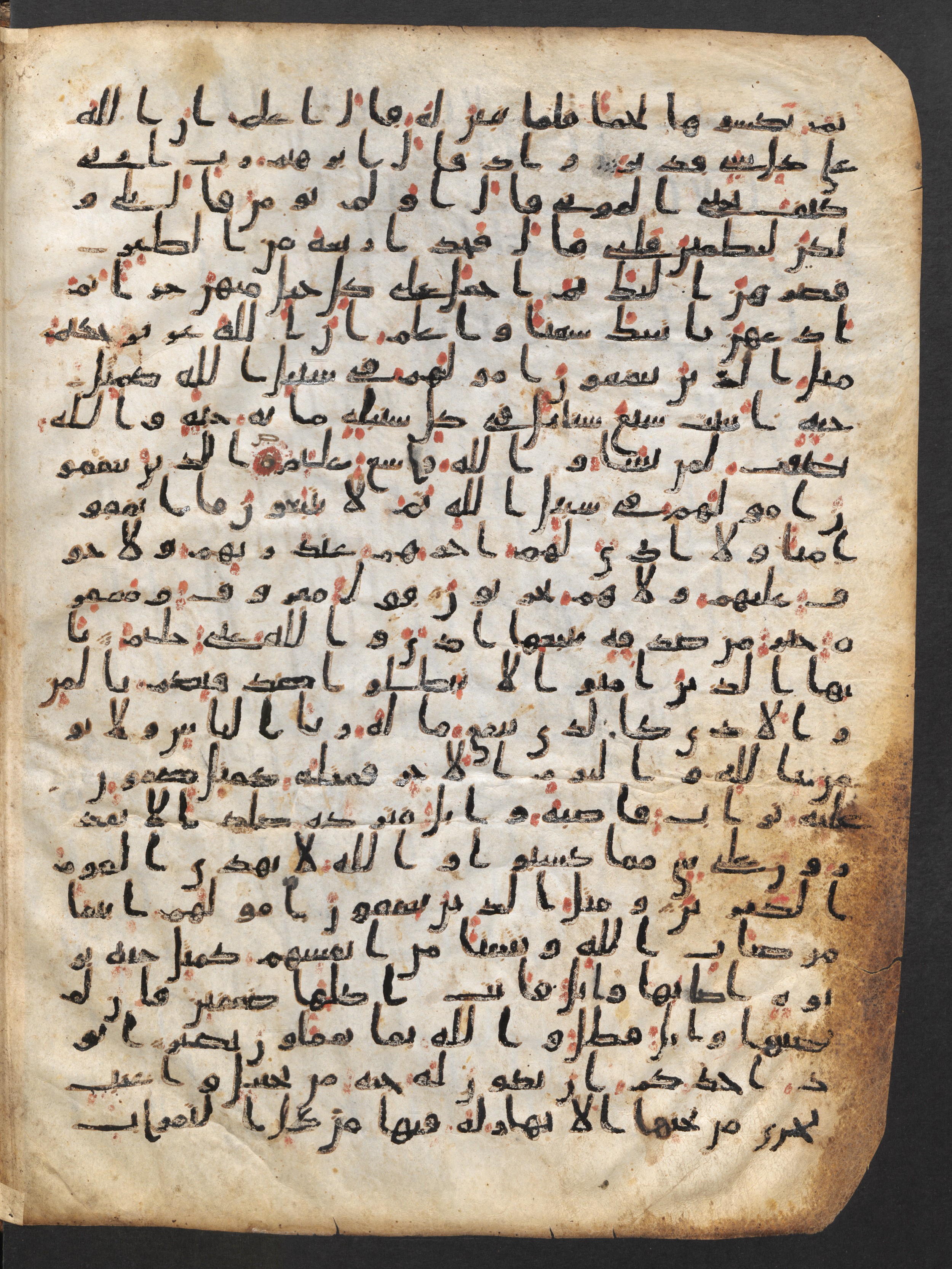 Staatsbibliothek zu Berlin, Ms. or. fol. 4313 (Scan 1), in Ḥiǧāzī (close to type II) script, showing Surah 2:264 from Mid to Late 7th Century AD found in Fustat (Old Cairo), Egypt, currently housed at Staatsbibliothek zu Berlin, Berlin