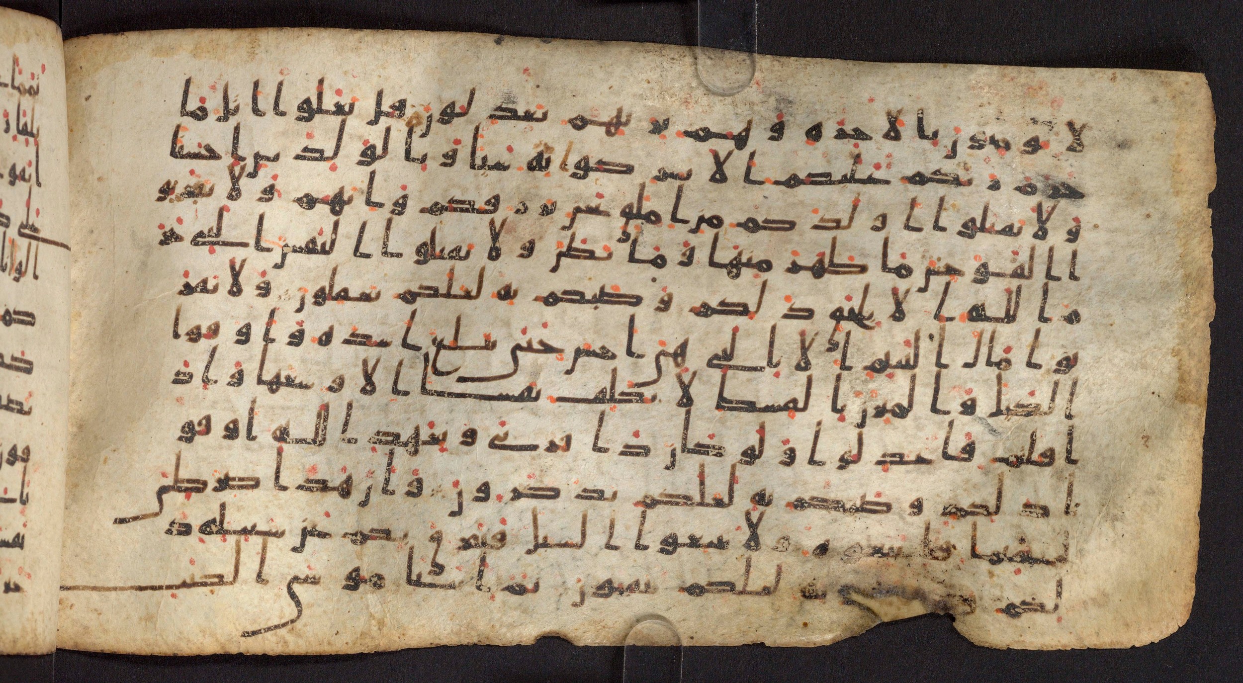Staatsbibliothek zu Berlin, Ms. or. fol. 4313 (Scan 1), in Ḥiǧāzī (close to type II) script, showing Surah 6:152 from Mid to Late 7th Century AD found in Fustat (Old Cairo), Egypt, currently housed at Staatsbibliothek zu Berlin, Berlin