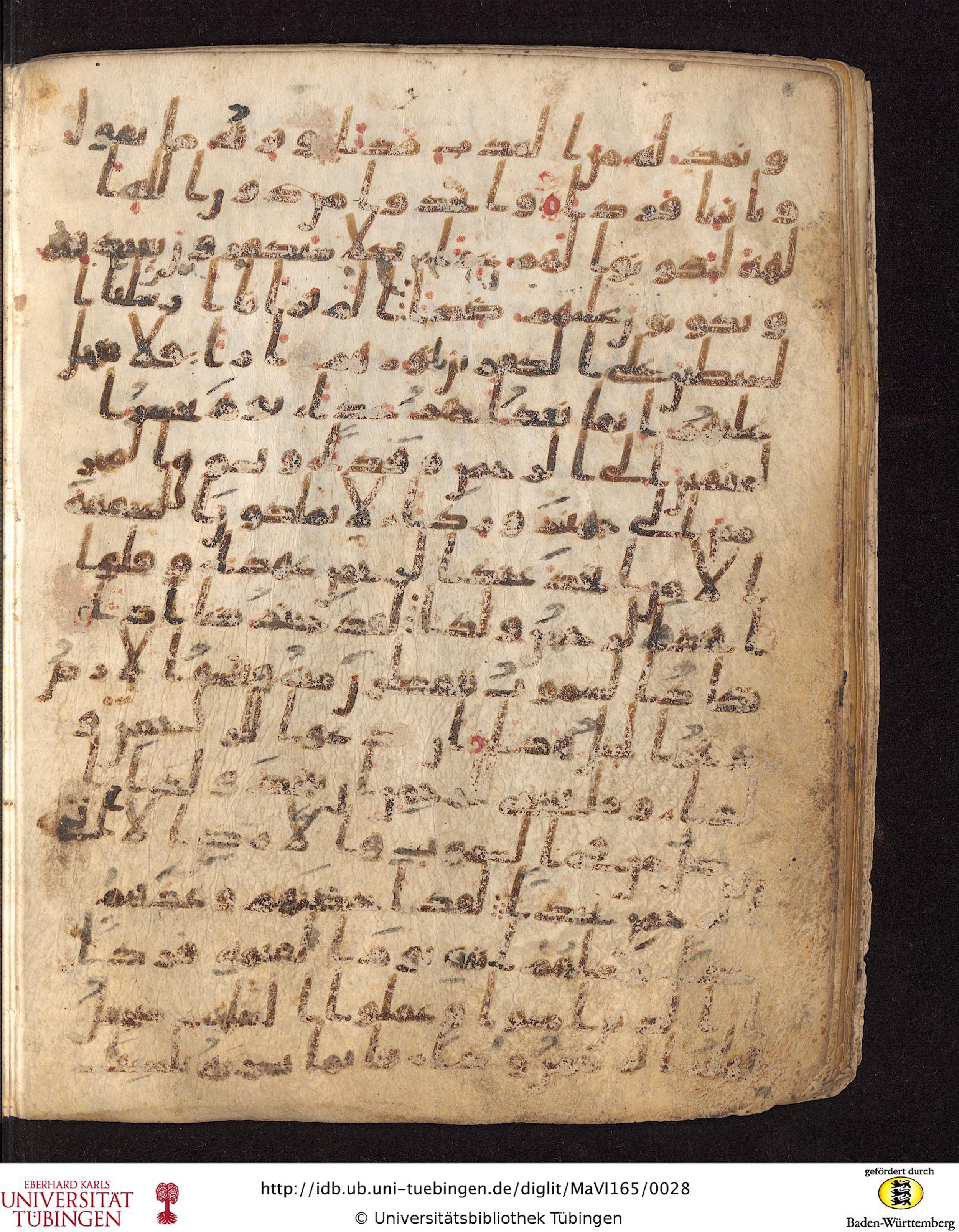 Staatsbibliothek zu Berlin, Ms. or. fol. 4313 (Scan 5), in Ḥiǧāzī (close to type II) script, showing Surah 19:97 from Mid to Late 7th Century AD found in Fustat (Old Cairo), Egypt, currently housed at Staatsbibliothek zu Berlin, Berlin