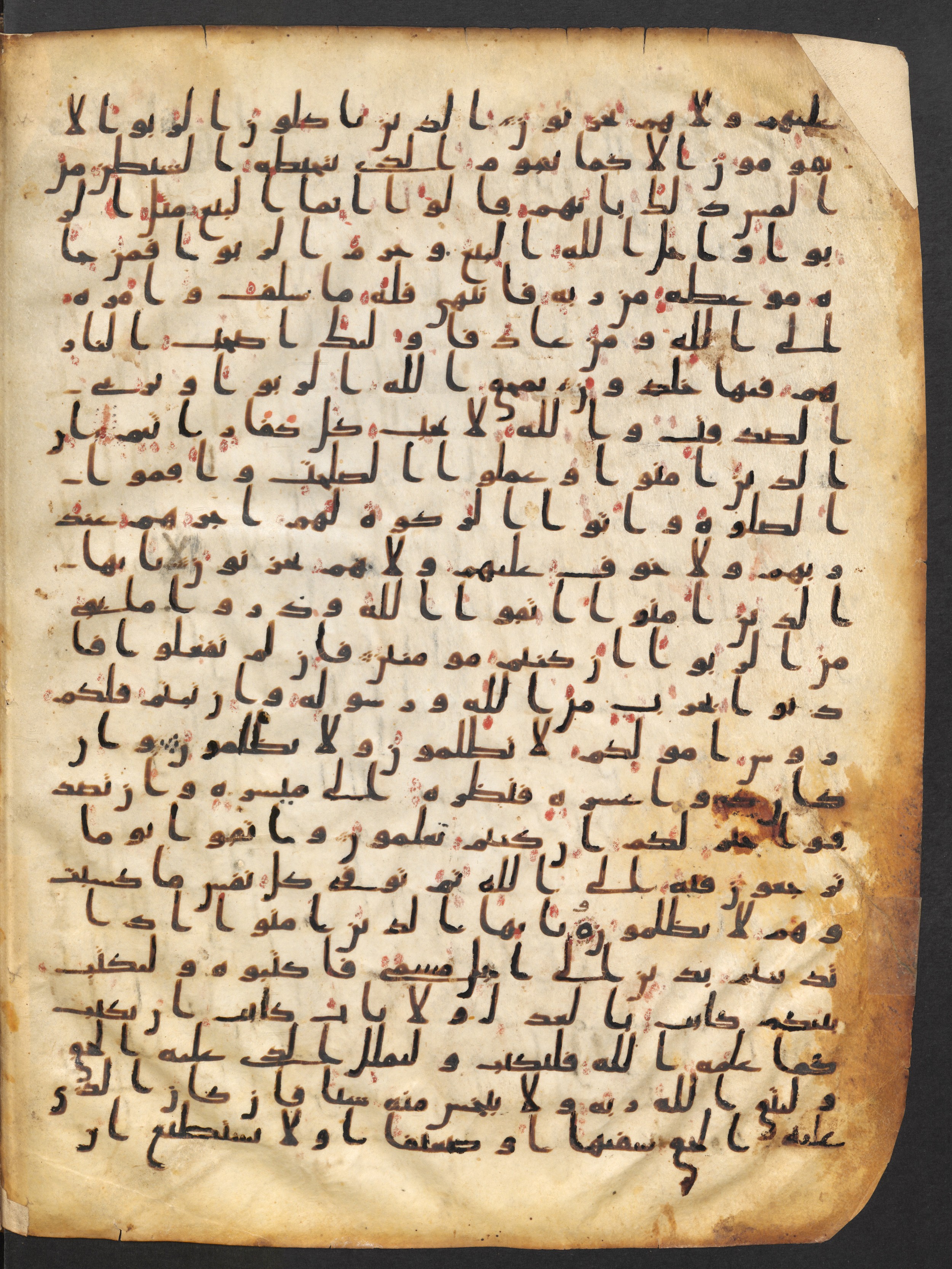 Staatsbibliothek zu Berlin, Ms. or. fol. 4313 (Scan 1), in Ḥiǧāzī (close to type II) script, showing Surah 2:281 from Mid to Late 7th Century AD found in Fustat (Old Cairo), Egypt, currently housed at Staatsbibliothek zu Berlin, Berlin