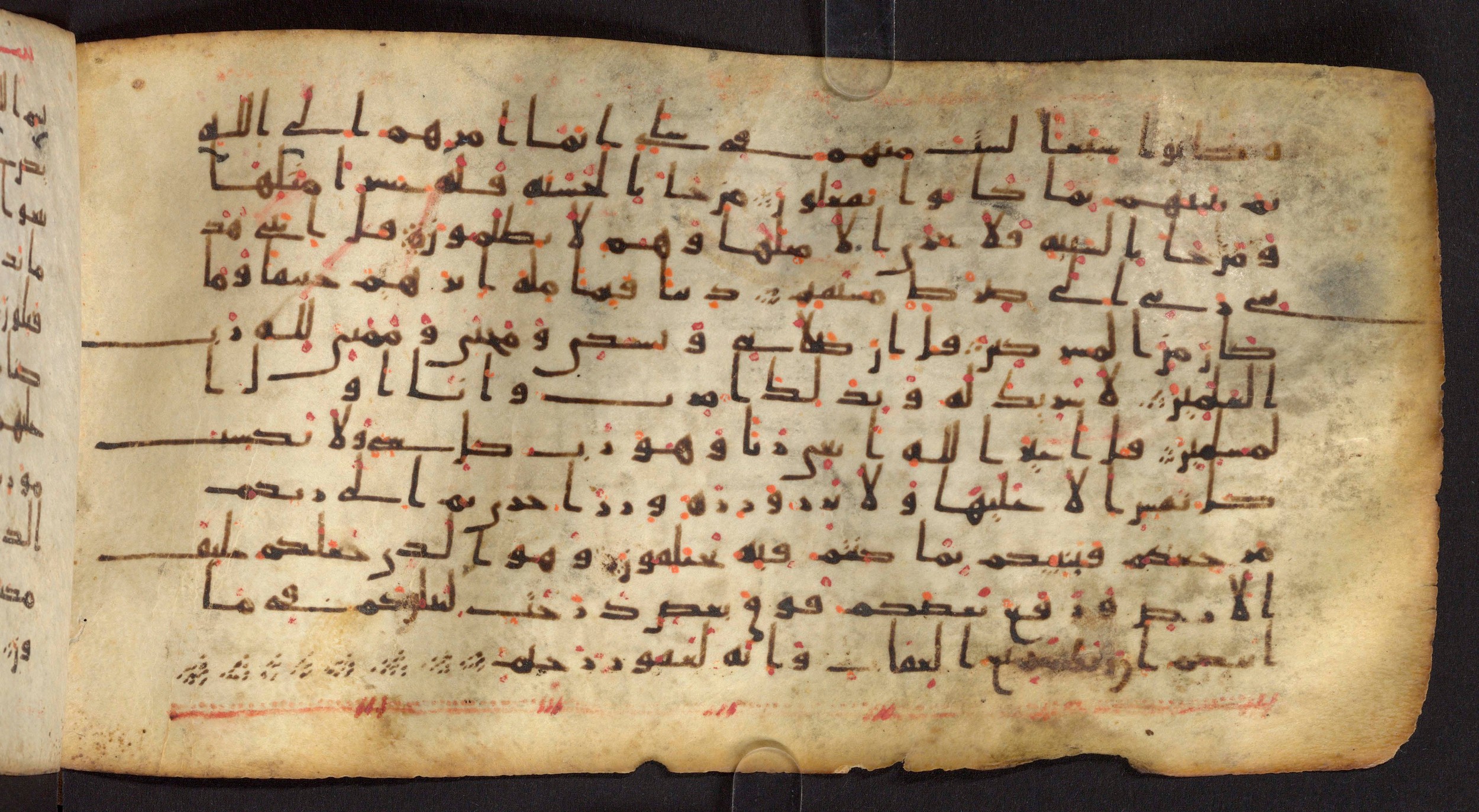 Staatsbibliothek zu Berlin, Ms. or. fol. 4313 (Scan 1), in Ḥiǧāzī (close to type II) script, showing Surah 6:161 from Mid to Late 7th Century AD found in Fustat (Old Cairo), Egypt, currently housed at Staatsbibliothek zu Berlin, Berlin