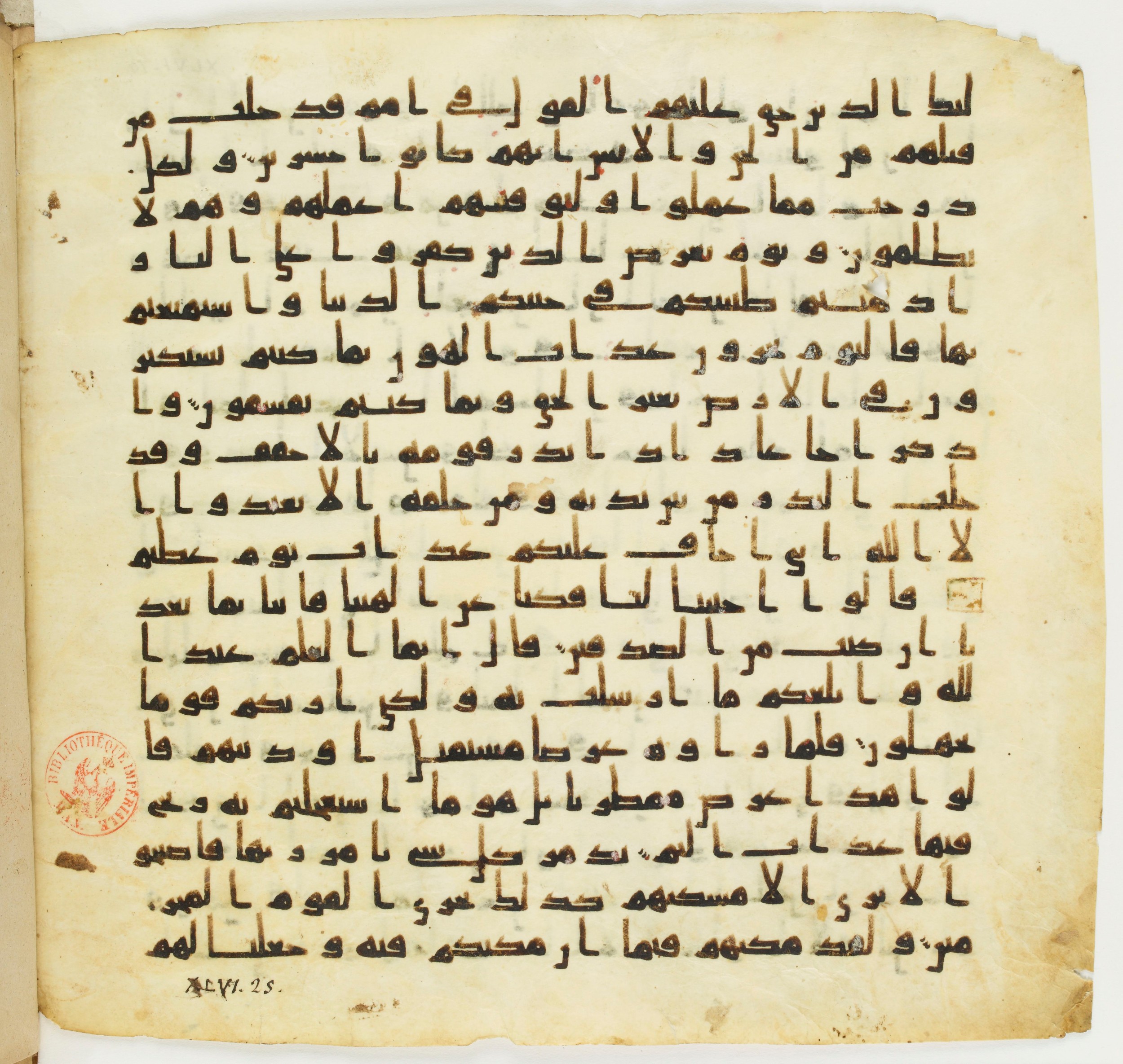 Staatsbibliothek zu Berlin, Ms. or. fol. 4313 (Scan 2), in Ḥiǧāzī (close to type II) script, showing Surah 46:23 from Mid to Late 7th Century AD found in Fustat (Old Cairo), Egypt, currently housed at Staatsbibliothek zu Berlin, Berlin