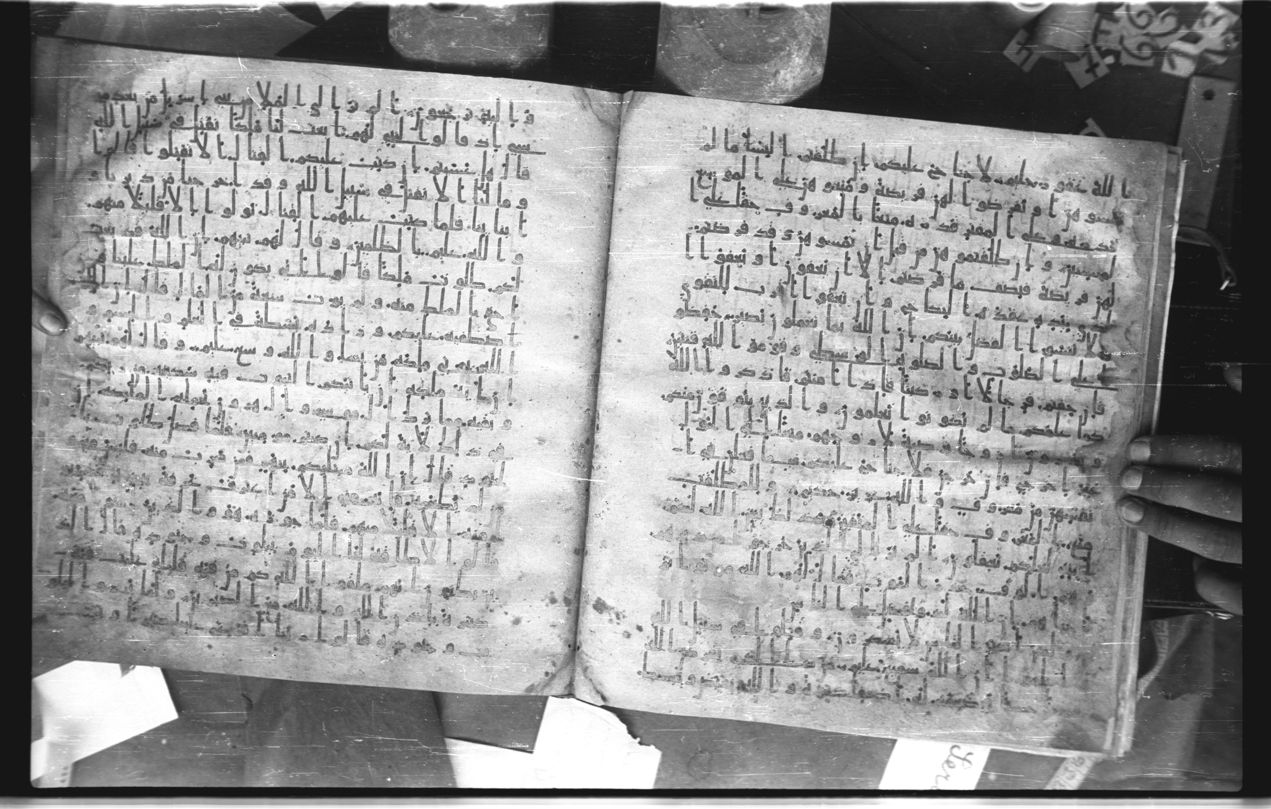 Staatsbibliothek zu Berlin, Ms. or. fol. 4313 (Scan 3), in Ḥiǧāzī (close to type II) script, showing Surah 2:239 from Mid to Late 7th Century AD found in Fustat (Old Cairo), Egypt, currently housed at Staatsbibliothek zu Berlin, Berlin