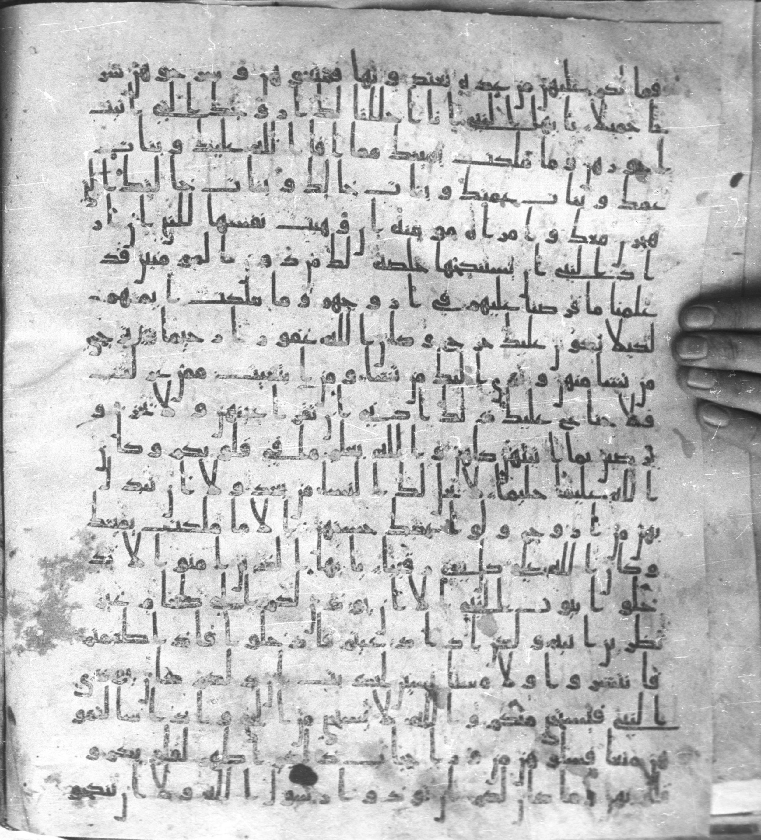 Staatsbibliothek zu Berlin, Ms. or. fol. 4313 (Scan 2), in Ḥiǧāzī (close to type II) script, showing Surah 33:49 from Mid to Late 7th Century AD found in Fustat (Old Cairo), Egypt, currently housed at Staatsbibliothek zu Berlin, Berlin