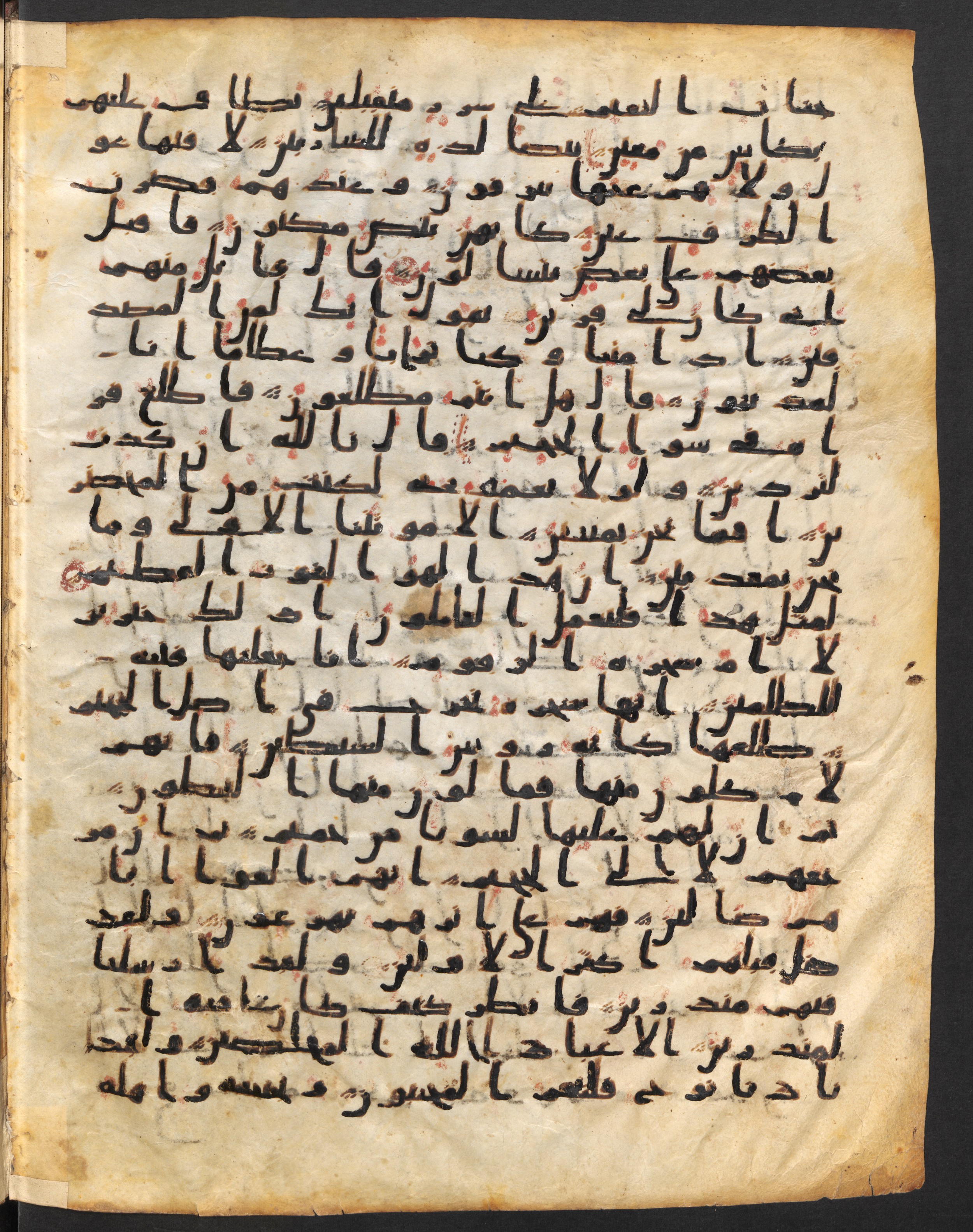 Staatsbibliothek zu Berlin, Ms. or. fol. 4313 (Scan 1), in Ḥiǧāzī (close to type II) script, showing Surah 37:49 from Mid to Late 7th Century AD found in Fustat (Old Cairo), Egypt, currently housed at Staatsbibliothek zu Berlin, Berlin