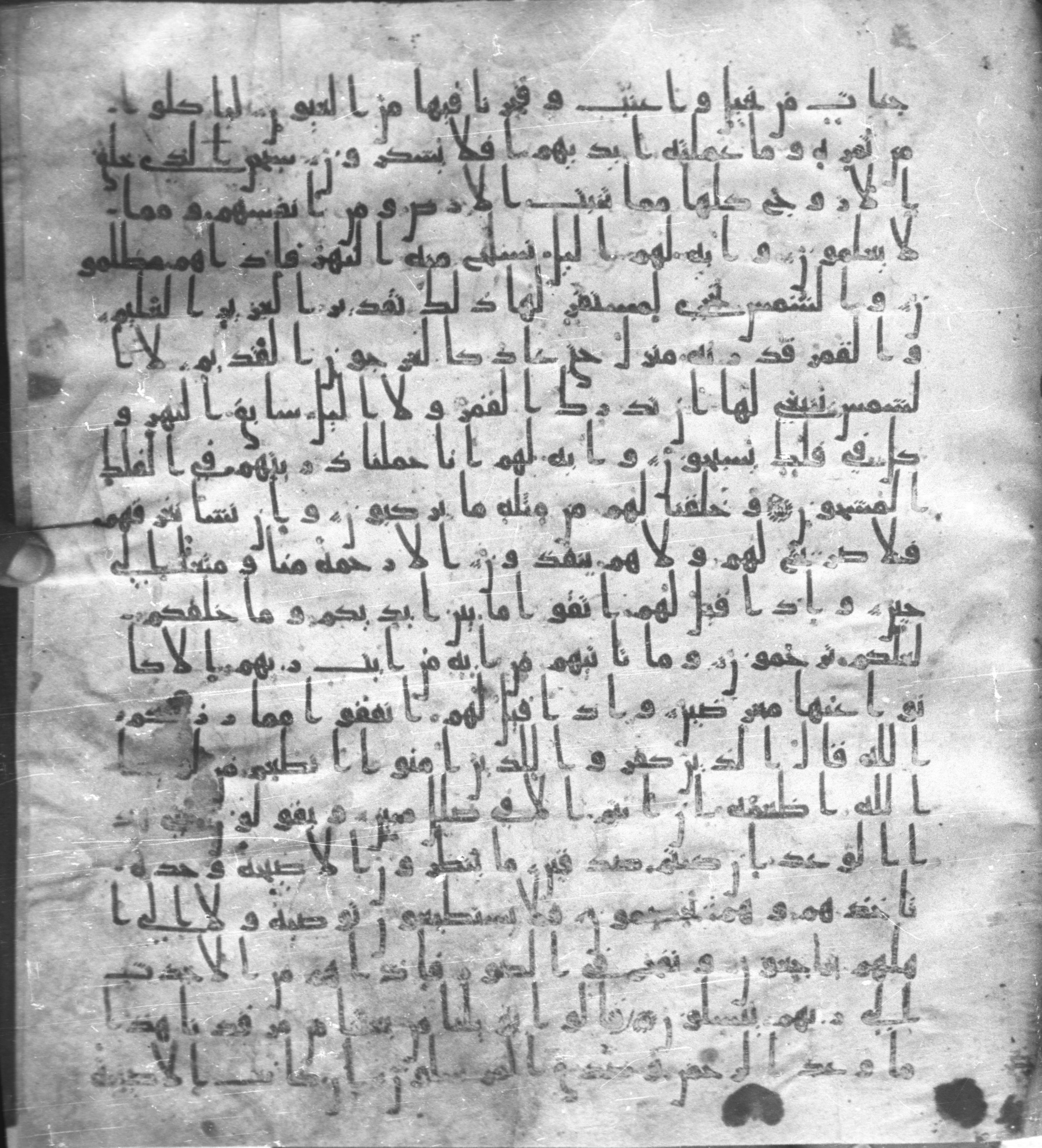 Staatsbibliothek zu Berlin, Ms. or. fol. 4313 (Scan 2), in Ḥiǧāzī (close to type II) script, showing Surah 36:49 from Mid to Late 7th Century AD found in Fustat (Old Cairo), Egypt, currently housed at Staatsbibliothek zu Berlin, Berlin