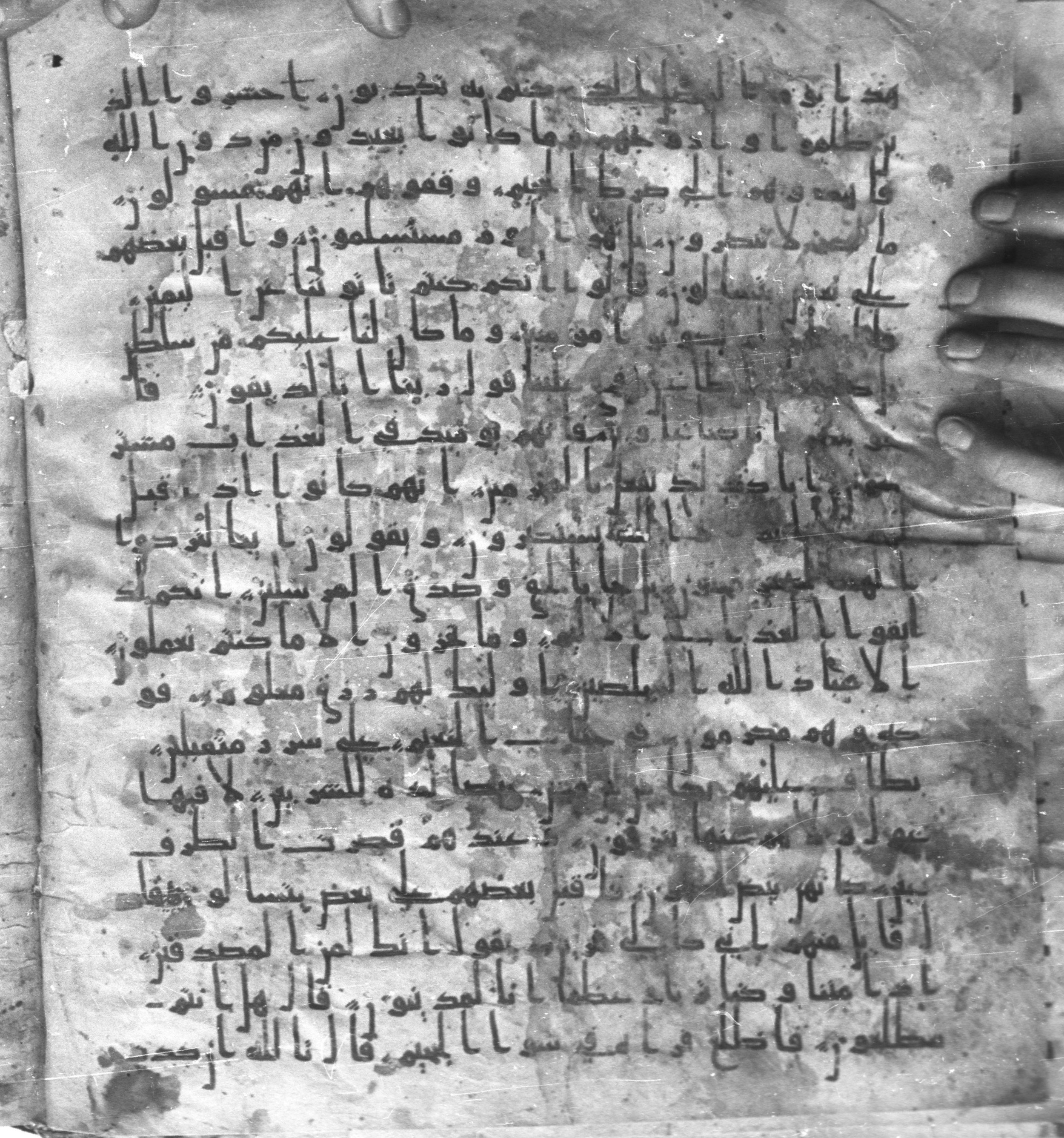Staatsbibliothek zu Berlin, Ms. or. fol. 4313 (Scan 2), in Ḥiǧāzī (close to type II) script, showing Surah 37:49 from Mid to Late 7th Century AD found in Fustat (Old Cairo), Egypt, currently housed at Staatsbibliothek zu Berlin, Berlin