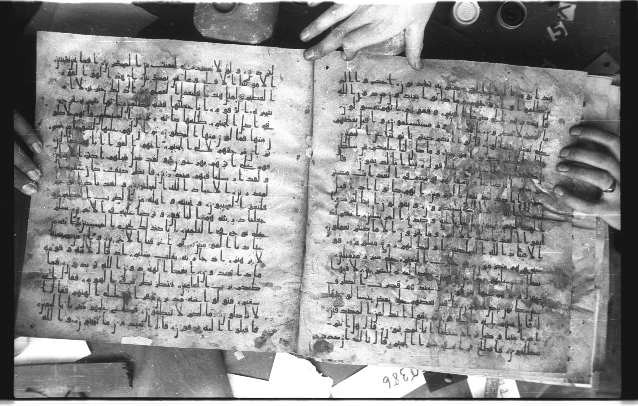 Staatsbibliothek zu Berlin, Ms. or. fol. 4313 (Scan 3), in Ḥiǧāzī (close to type II) script, showing Surah 37:49 from Mid to Late 7th Century AD found in Fustat (Old Cairo), Egypt, currently housed at Staatsbibliothek zu Berlin, Berlin