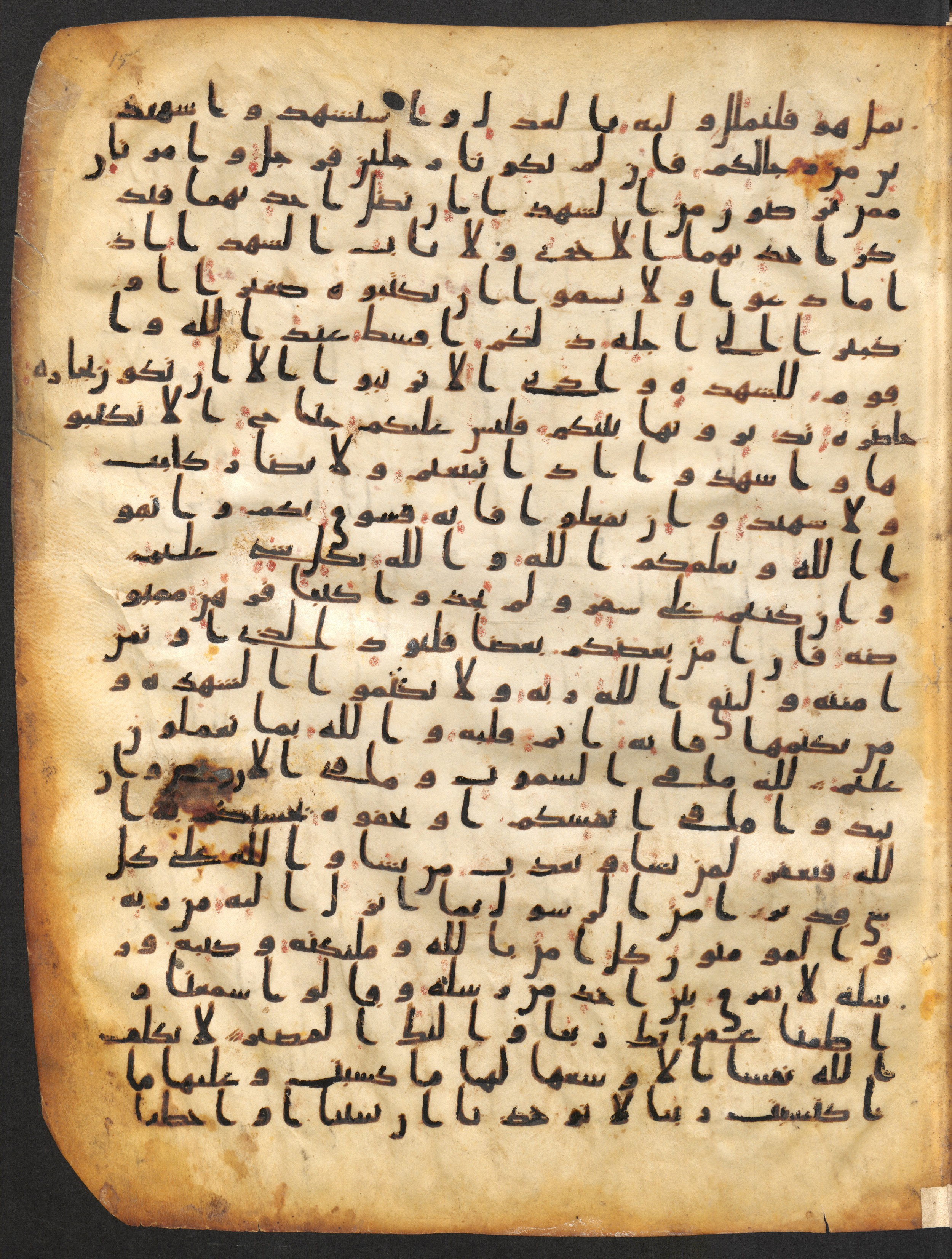 Staatsbibliothek zu Berlin, Ms. or. fol. 4313 (Scan 1), in Ḥiǧāzī (close to type II) script, showing Surah 2:283 from Mid to Late 7th Century AD found in Fustat (Old Cairo), Egypt, currently housed at Staatsbibliothek zu Berlin, Berlin