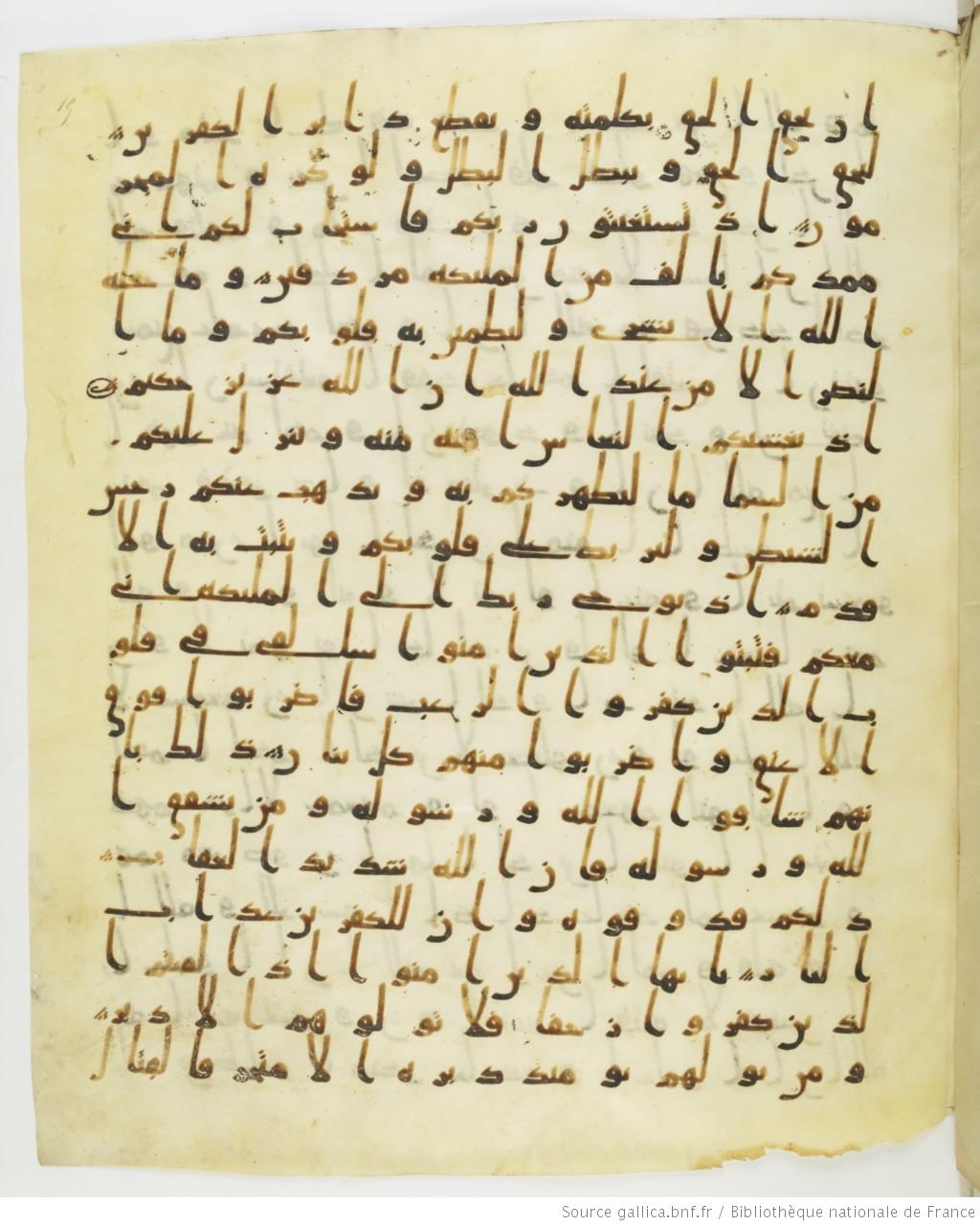 Staatsbibliothek zu Berlin, Ms. or. fol. 4313 (Scan 1), in Ḥiǧāzī (close to type II) script, showing Surah 8:13 from Mid to Late 7th Century AD found in Fustat (Old Cairo), Egypt, currently housed at Staatsbibliothek zu Berlin, Berlin