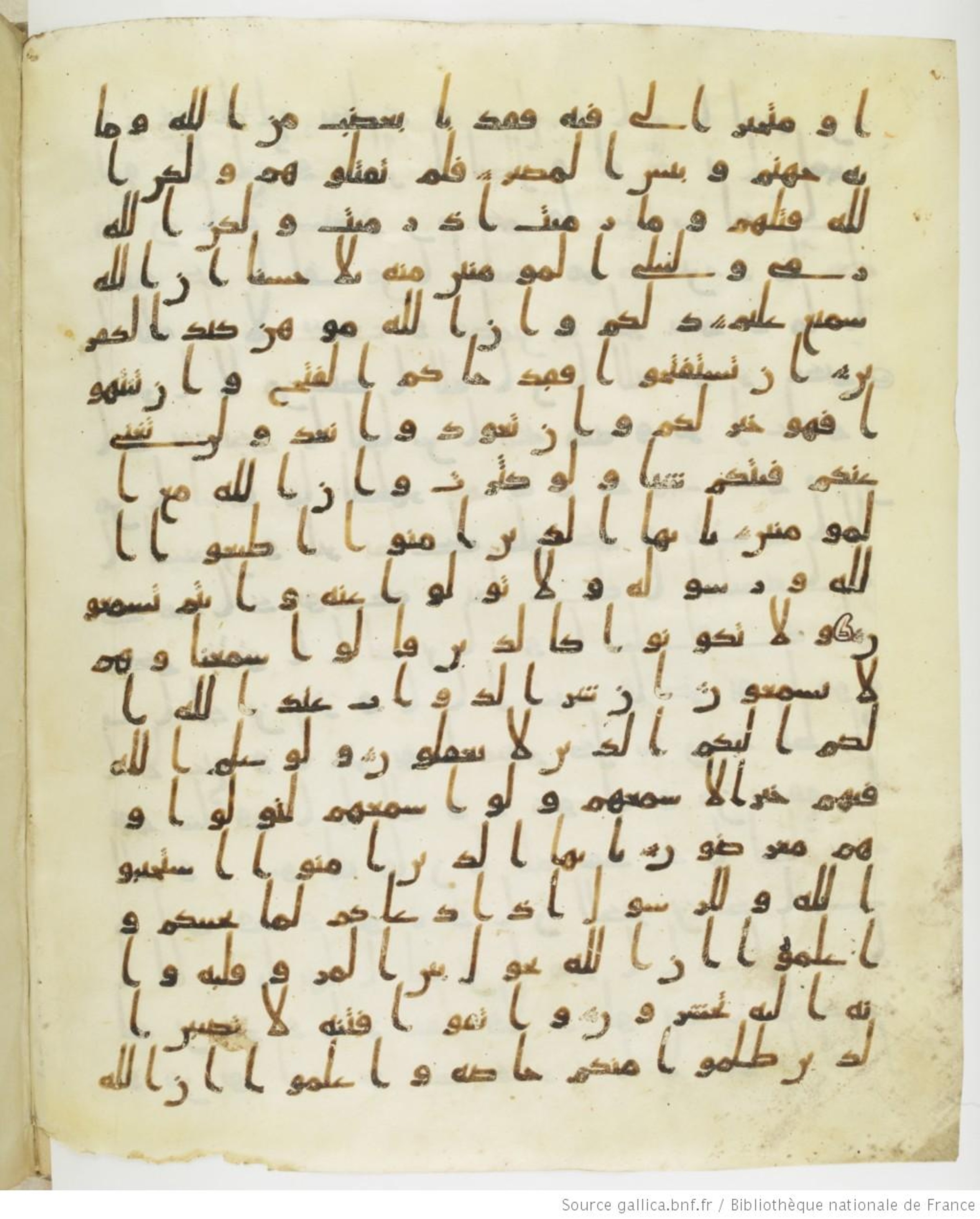 Staatsbibliothek zu Berlin, Ms. or. fol. 4313 (Scan 1), in Ḥiǧāzī (close to type II) script, showing Surah 8:21 from Mid to Late 7th Century AD found in Fustat (Old Cairo), Egypt, currently housed at Staatsbibliothek zu Berlin, Berlin
