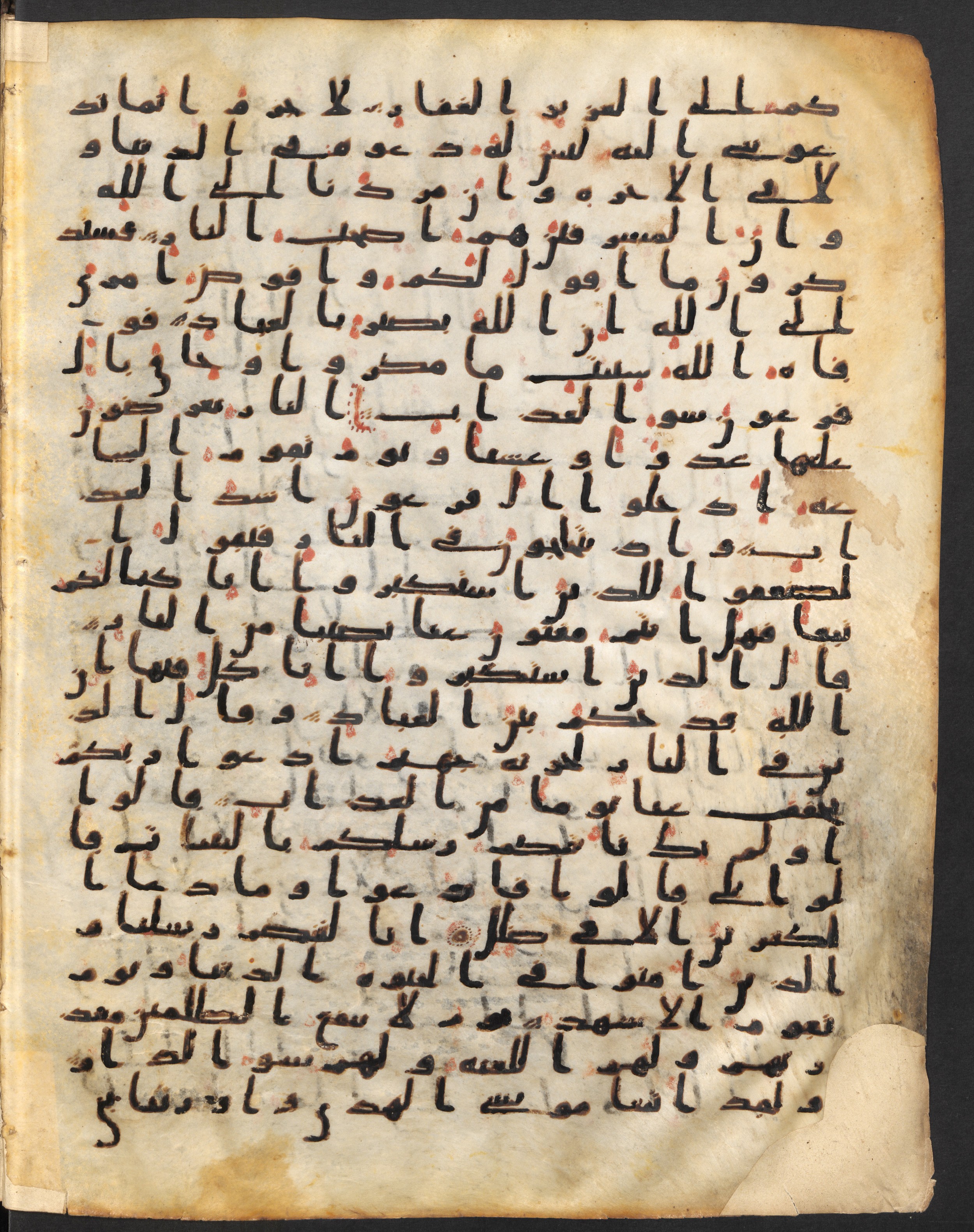 Staatsbibliothek zu Berlin, Ms. or. fol. 4313 (Scan 1), in Ḥiǧāzī (close to type II) script, showing Surah 40:49 from Mid to Late 7th Century AD found in Fustat (Old Cairo), Egypt, currently housed at Staatsbibliothek zu Berlin, Berlin