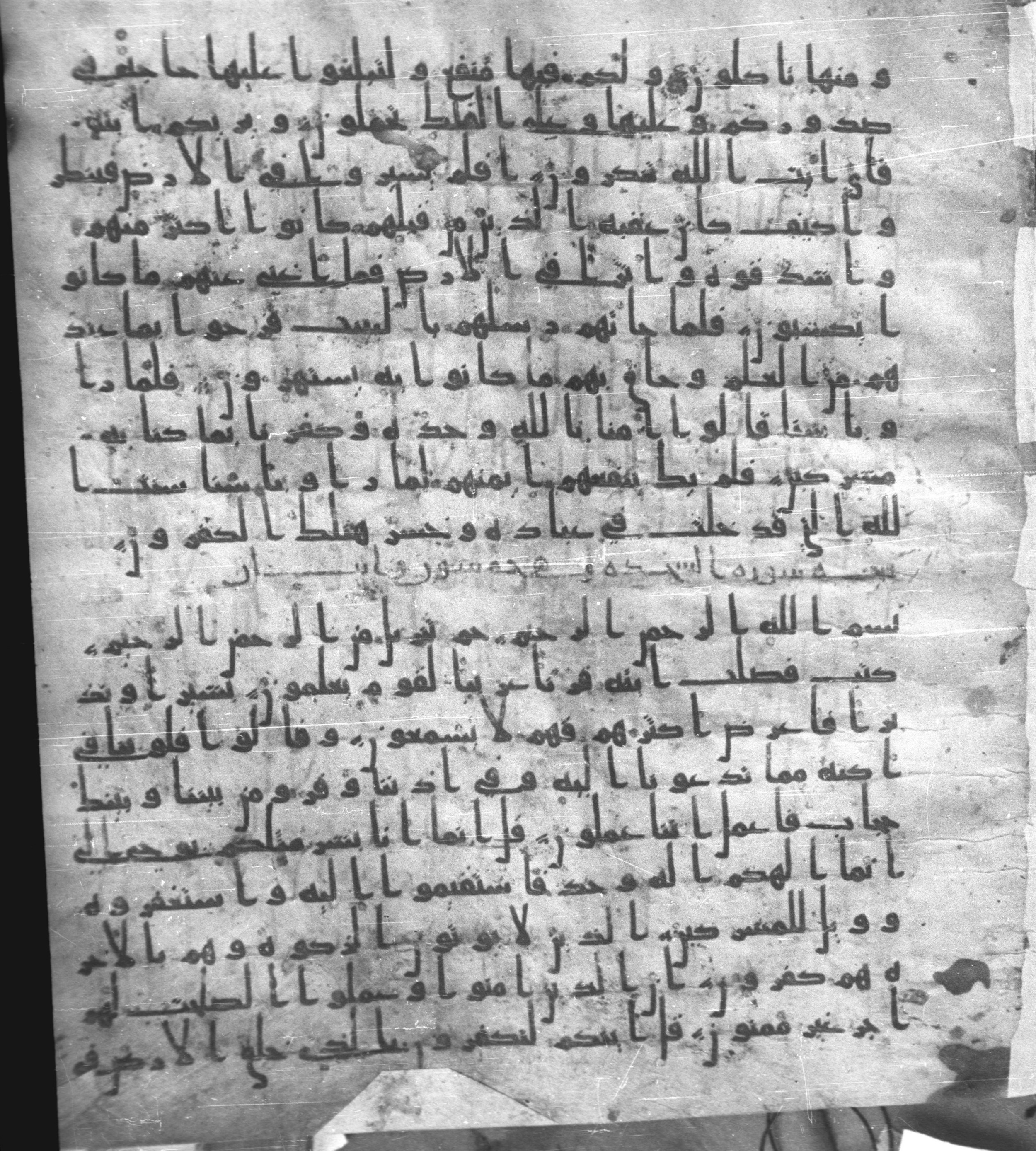 Staatsbibliothek zu Berlin, Ms. or. fol. 4313 (Scan 2), in Ḥiǧāzī (close to type II) script, showing Surah 41:2 from Mid to Late 7th Century AD found in Fustat (Old Cairo), Egypt, currently housed at Staatsbibliothek zu Berlin, Berlin