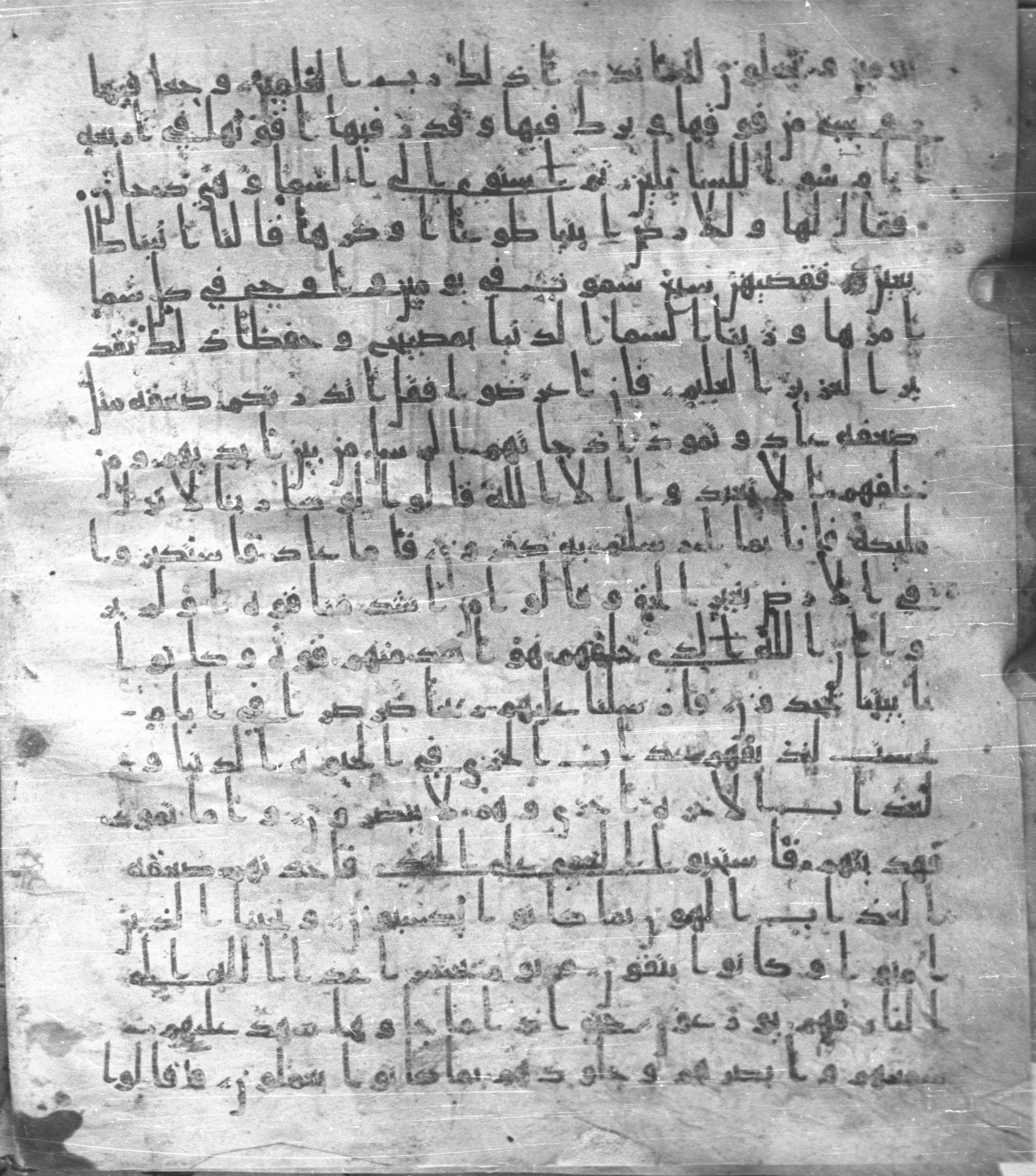 Staatsbibliothek zu Berlin, Ms. or. fol. 4313 (Scan 2), in Ḥiǧāzī (close to type II) script, showing Surah 41:21 from Mid to Late 7th Century AD found in Fustat (Old Cairo), Egypt, currently housed at Staatsbibliothek zu Berlin, Berlin