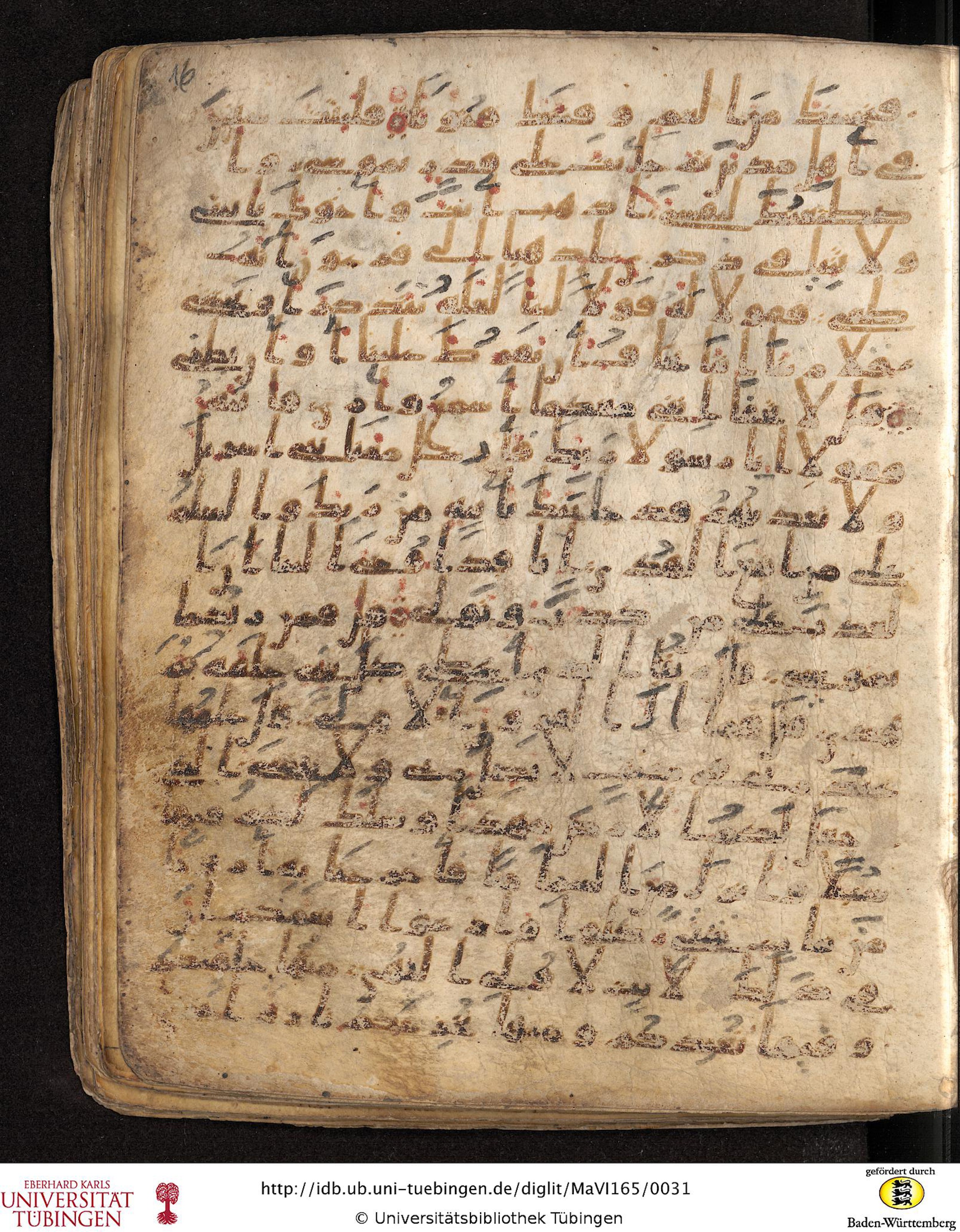 Staatsbibliothek zu Berlin, Ms. or. fol. 4313 (Scan 4), in Ḥiǧāzī (close to type II) script, showing Surah 20:49 from Mid to Late 7th Century AD found in Fustat (Old Cairo), Egypt, currently housed at Staatsbibliothek zu Berlin, Berlin
