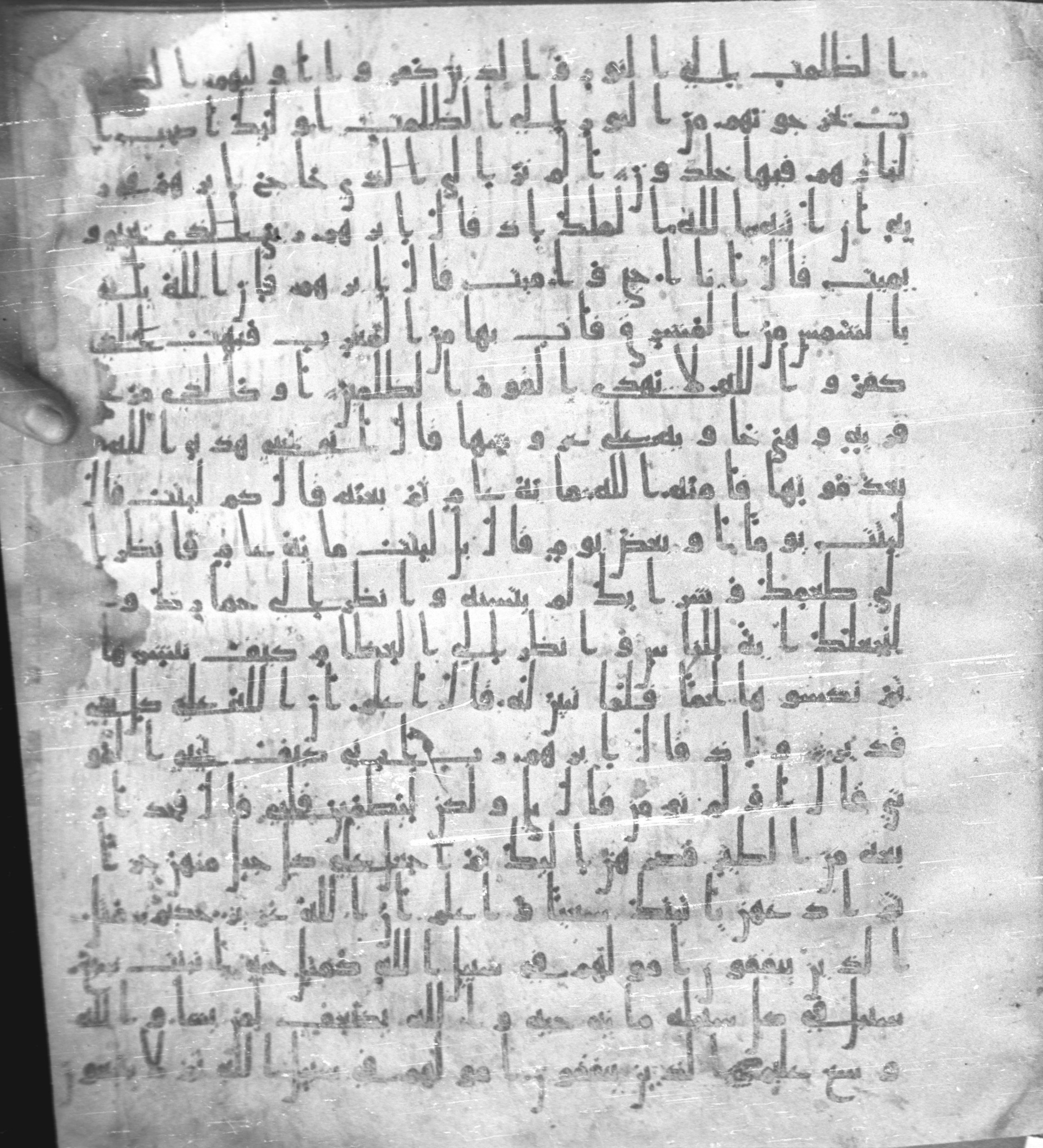 Staatsbibliothek zu Berlin, Ms. or. fol. 4313 (Scan 2), in Ḥiǧāzī (close to type II) script, showing Surah 2:262 from Mid to Late 7th Century AD found in Fustat (Old Cairo), Egypt, currently housed at Staatsbibliothek zu Berlin, Berlin