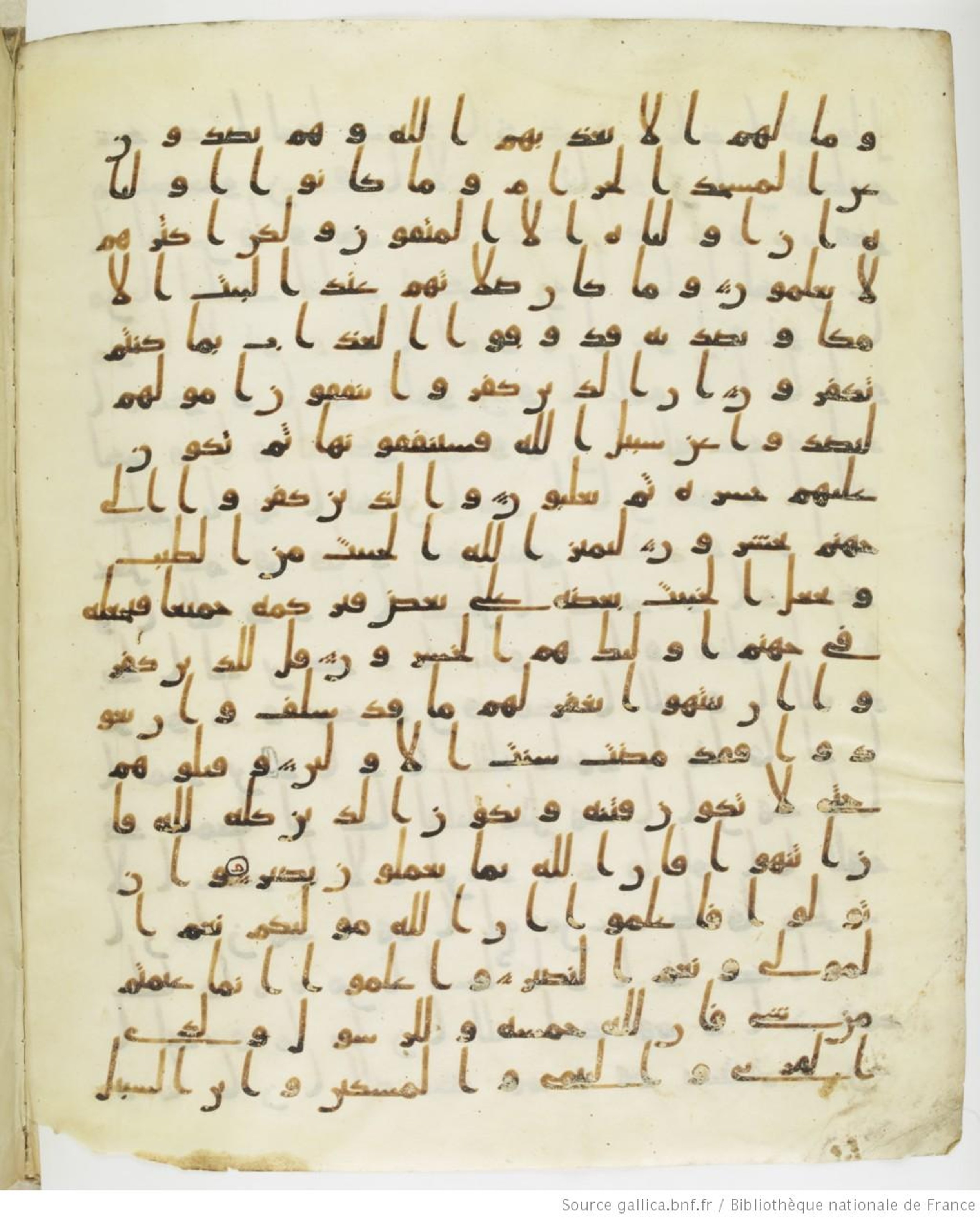 Staatsbibliothek zu Berlin, Ms. or. fol. 4313 (Scan 1), in Ḥiǧāzī (close to type II) script, showing Surah 8:39 from Mid to Late 7th Century AD found in Fustat (Old Cairo), Egypt, currently housed at Staatsbibliothek zu Berlin, Berlin