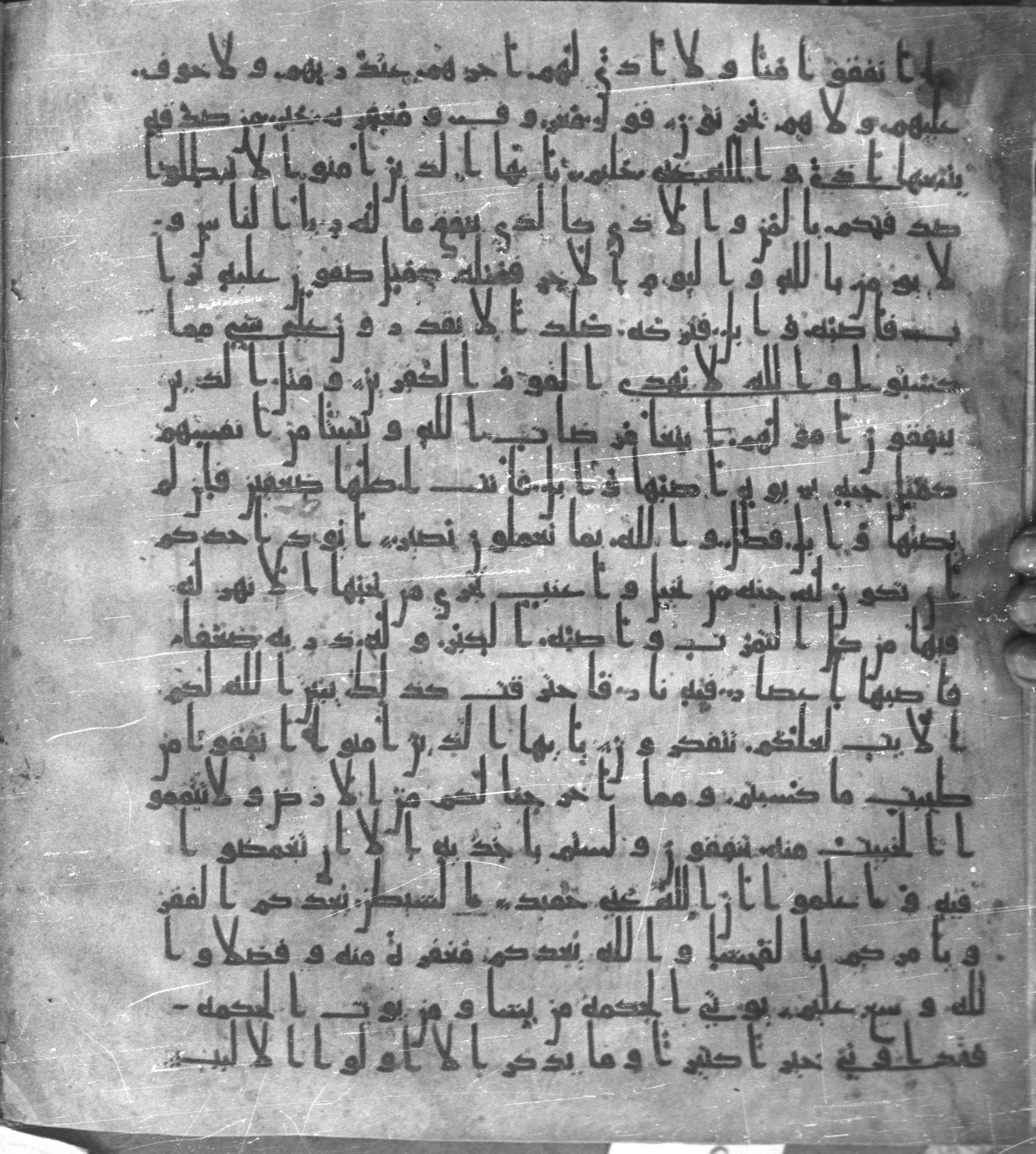 Staatsbibliothek zu Berlin, Ms. or. fol. 4313 (Scan 2), in Ḥiǧāzī (close to type II) script, showing Surah 2:264 from Mid to Late 7th Century AD found in Fustat (Old Cairo), Egypt, currently housed at Staatsbibliothek zu Berlin, Berlin