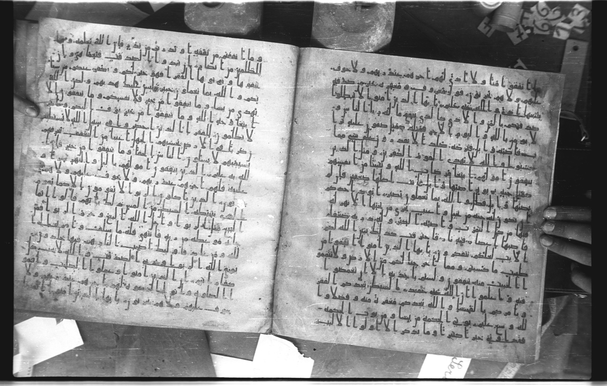 Staatsbibliothek zu Berlin, Ms. or. fol. 4313 (Scan 3), in Ḥiǧāzī (close to type II) script, showing Surah 2:264 from Mid to Late 7th Century AD found in Fustat (Old Cairo), Egypt, currently housed at Staatsbibliothek zu Berlin, Berlin