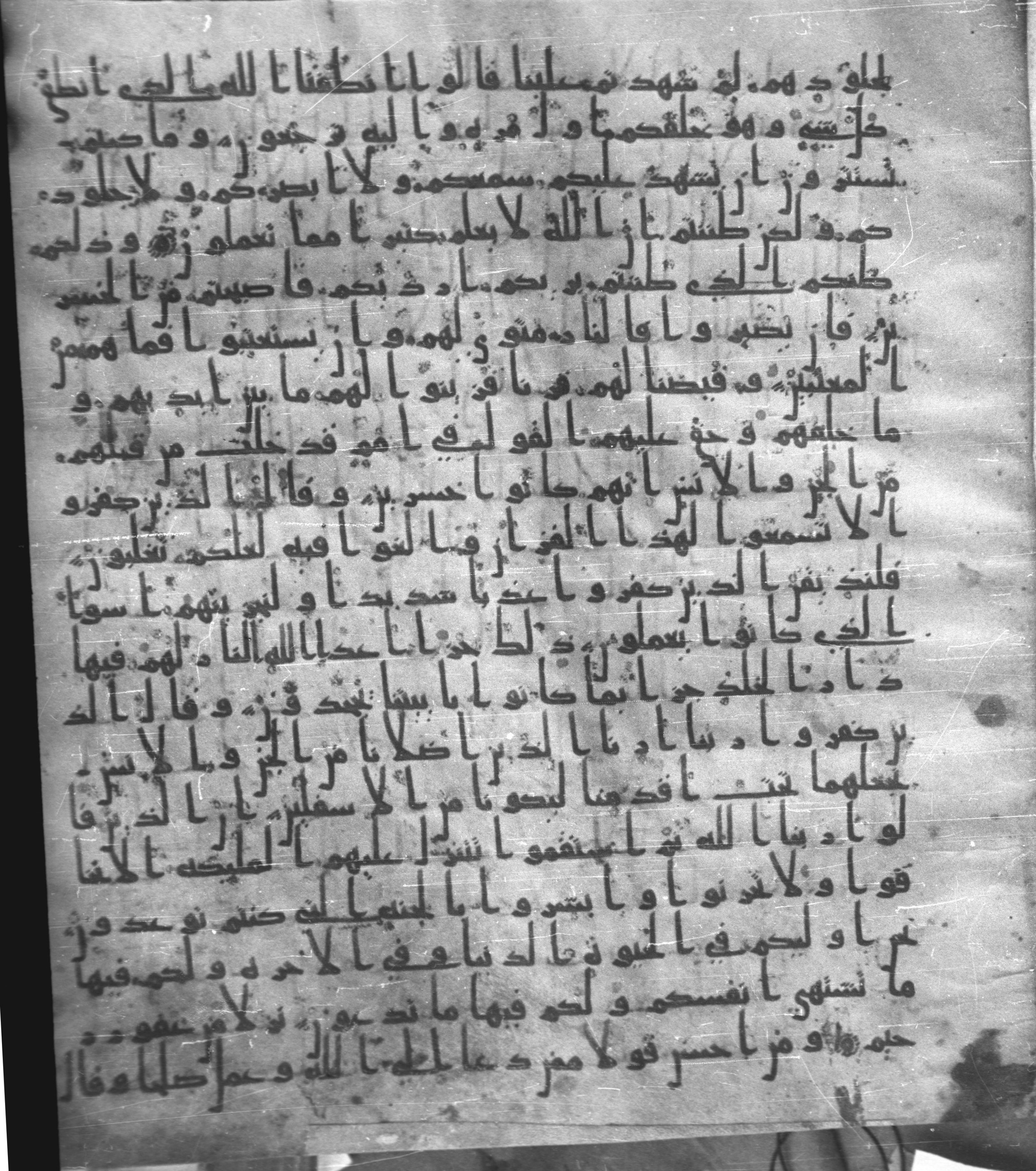 Staatsbibliothek zu Berlin, Ms. or. fol. 4313 (Scan 4), in Ḥiǧāzī (close to type II) script, showing Surah 41:21 from Mid to Late 7th Century AD found in Fustat (Old Cairo), Egypt, currently housed at Staatsbibliothek zu Berlin, Berlin