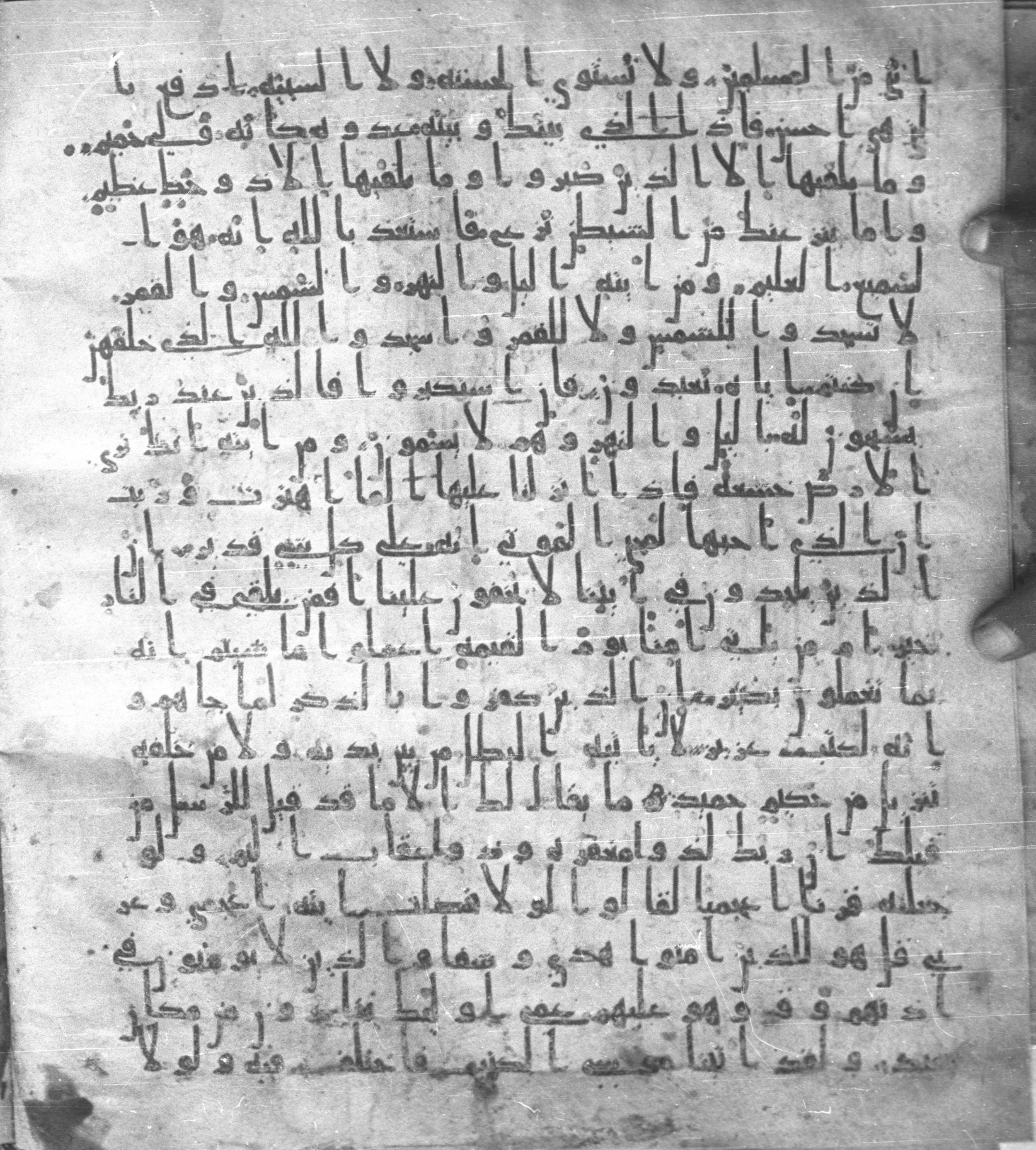 Staatsbibliothek zu Berlin, Ms. or. fol. 4313 (Scan 4), in Ḥiǧāzī (close to type II) script, showing Surah 41:39 from Mid to Late 7th Century AD found in Fustat (Old Cairo), Egypt, currently housed at Staatsbibliothek zu Berlin, Berlin