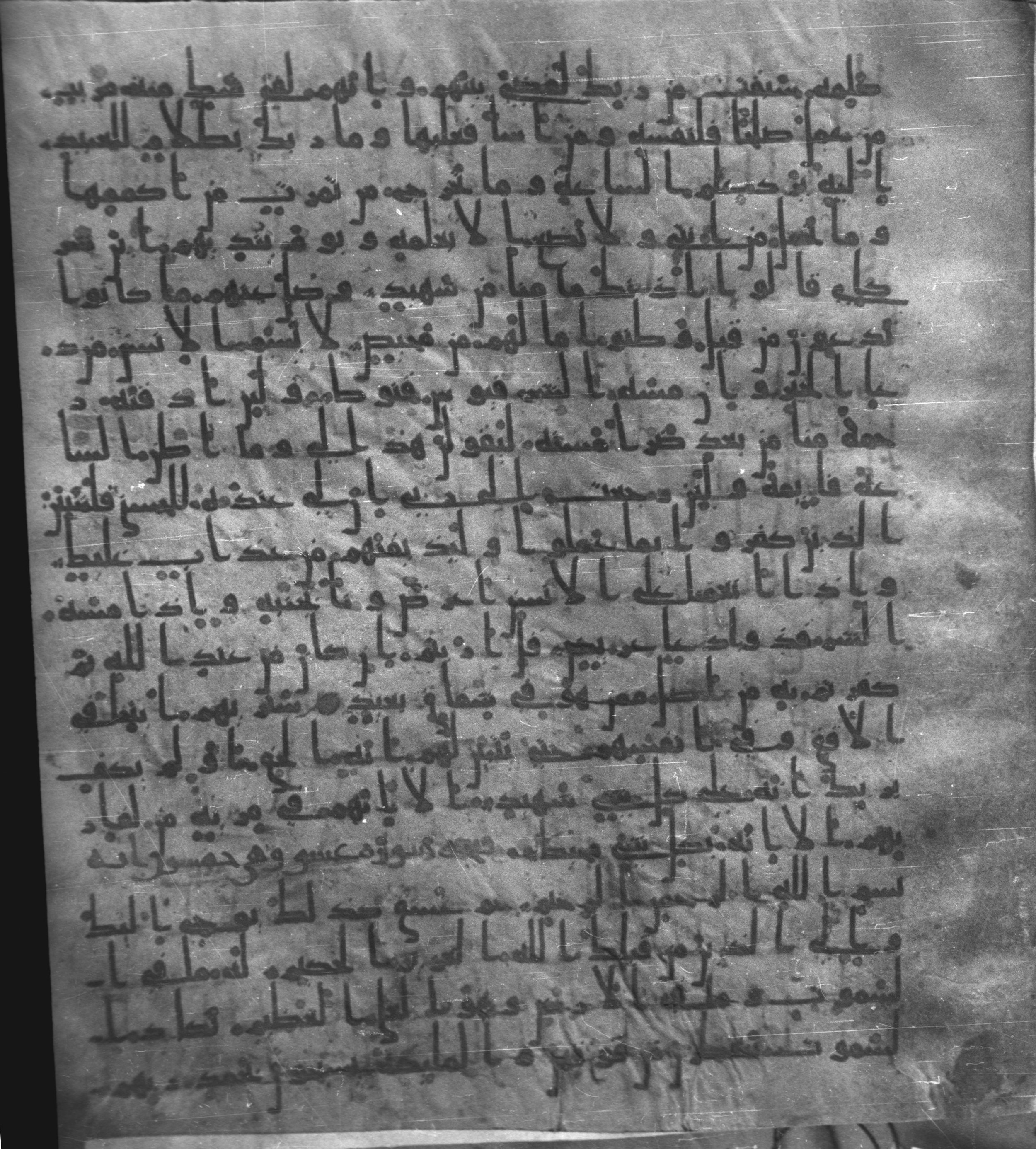 Staatsbibliothek zu Berlin, Ms. or. fol. 4313 (Scan 4), in Ḥiǧāzī (close to type II) script, showing Surah 41:49 from Mid to Late 7th Century AD found in Fustat (Old Cairo), Egypt, currently housed at Staatsbibliothek zu Berlin, Berlin
