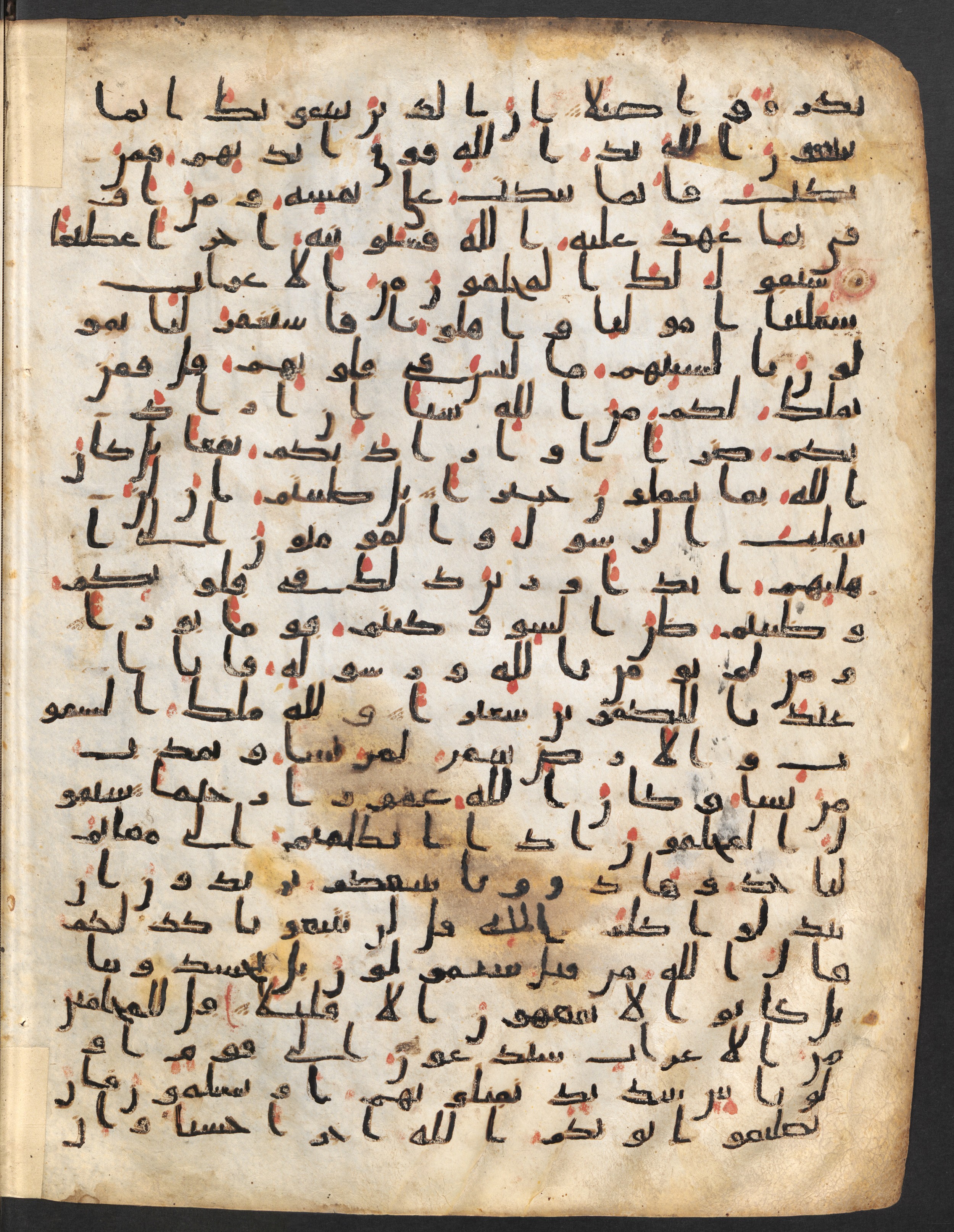 Staatsbibliothek zu Berlin, Ms. or. fol. 4313 (Scan 2), in Ḥiǧāzī (close to type II) script, showing Surah 48:9 from Mid to Late 7th Century AD found in Fustat (Old Cairo), Egypt, currently housed at Staatsbibliothek zu Berlin, Berlin
